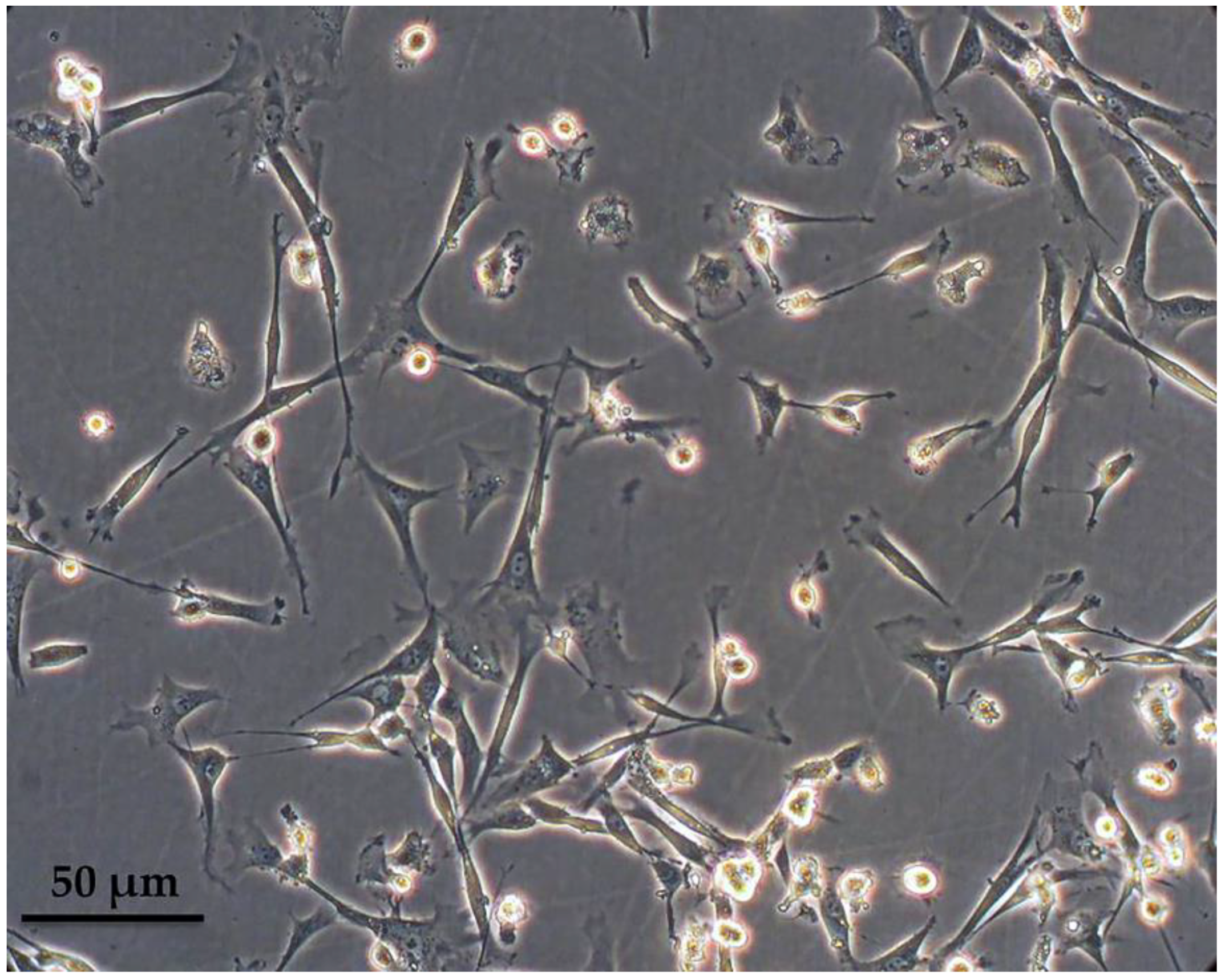 Vetsci 05 00057 g001