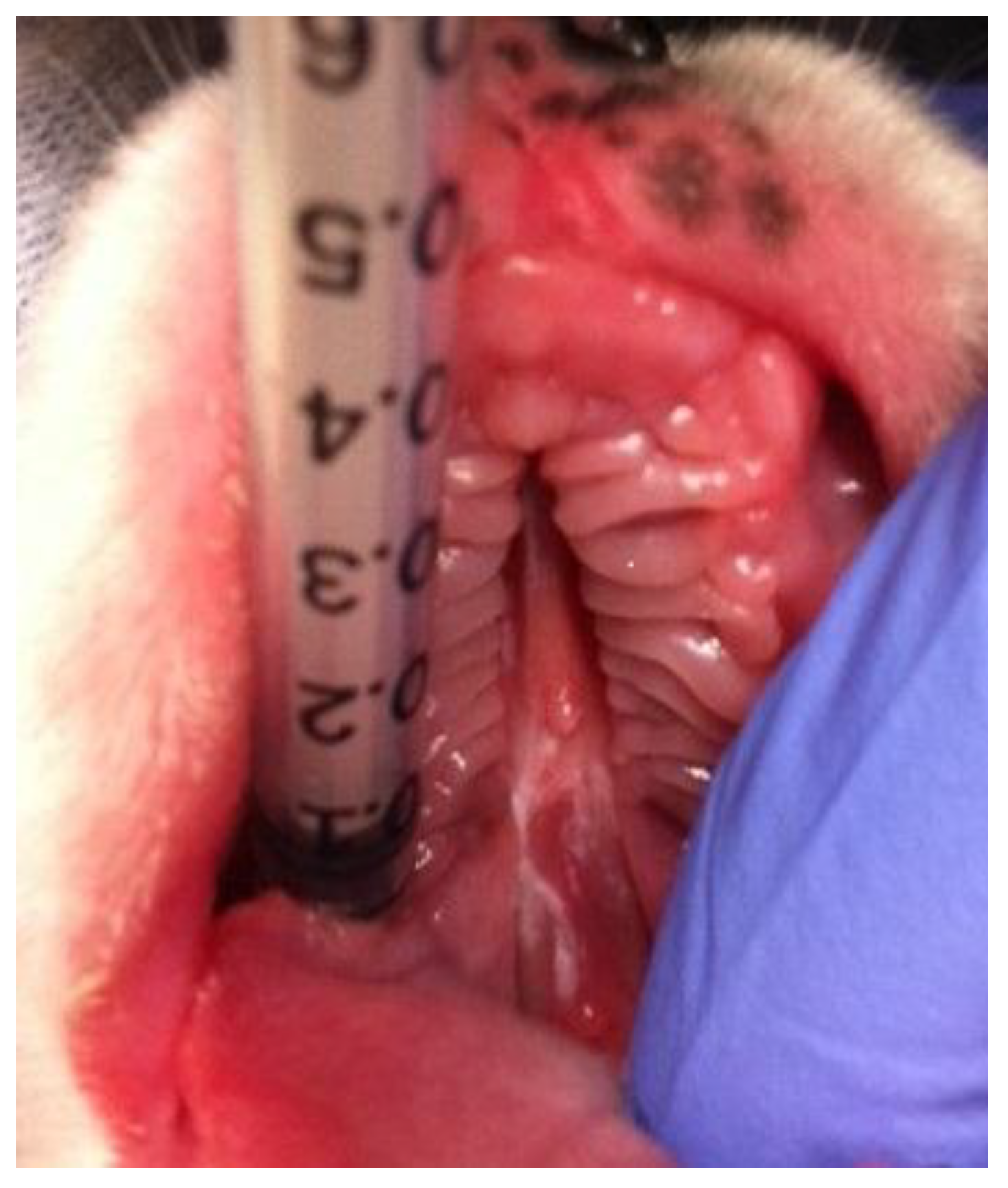 Vetsci 05 00061 g001 Vetsci 05 00061 g001