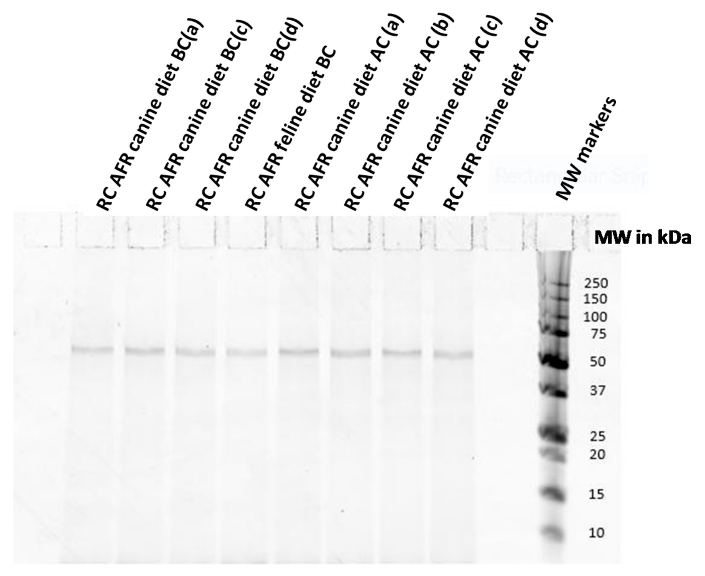 Vetsci 05 00063 g004
