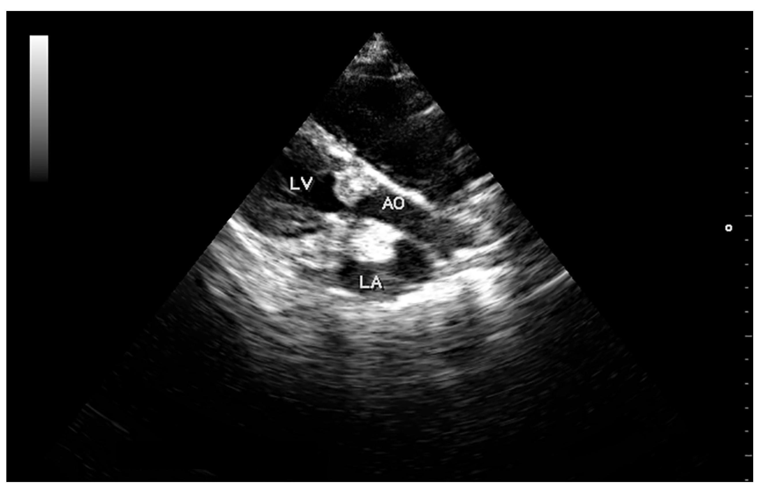 Vetsci 05 00064 g002