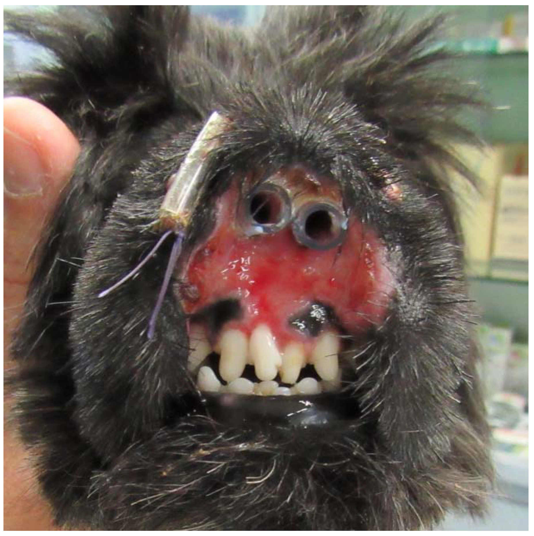 Vetsci 05 00073 g002 550