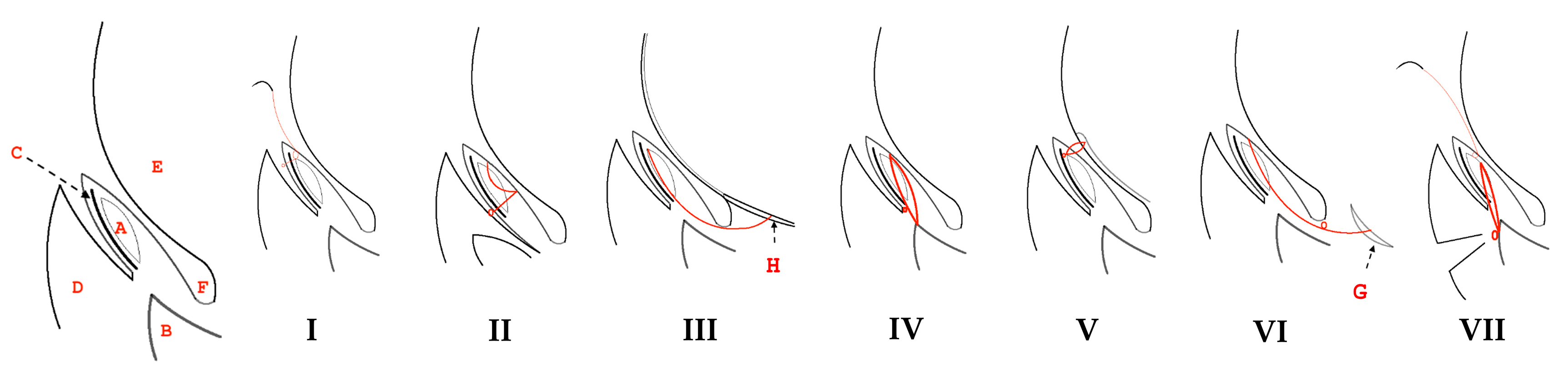Vetsci 05 00075 g002