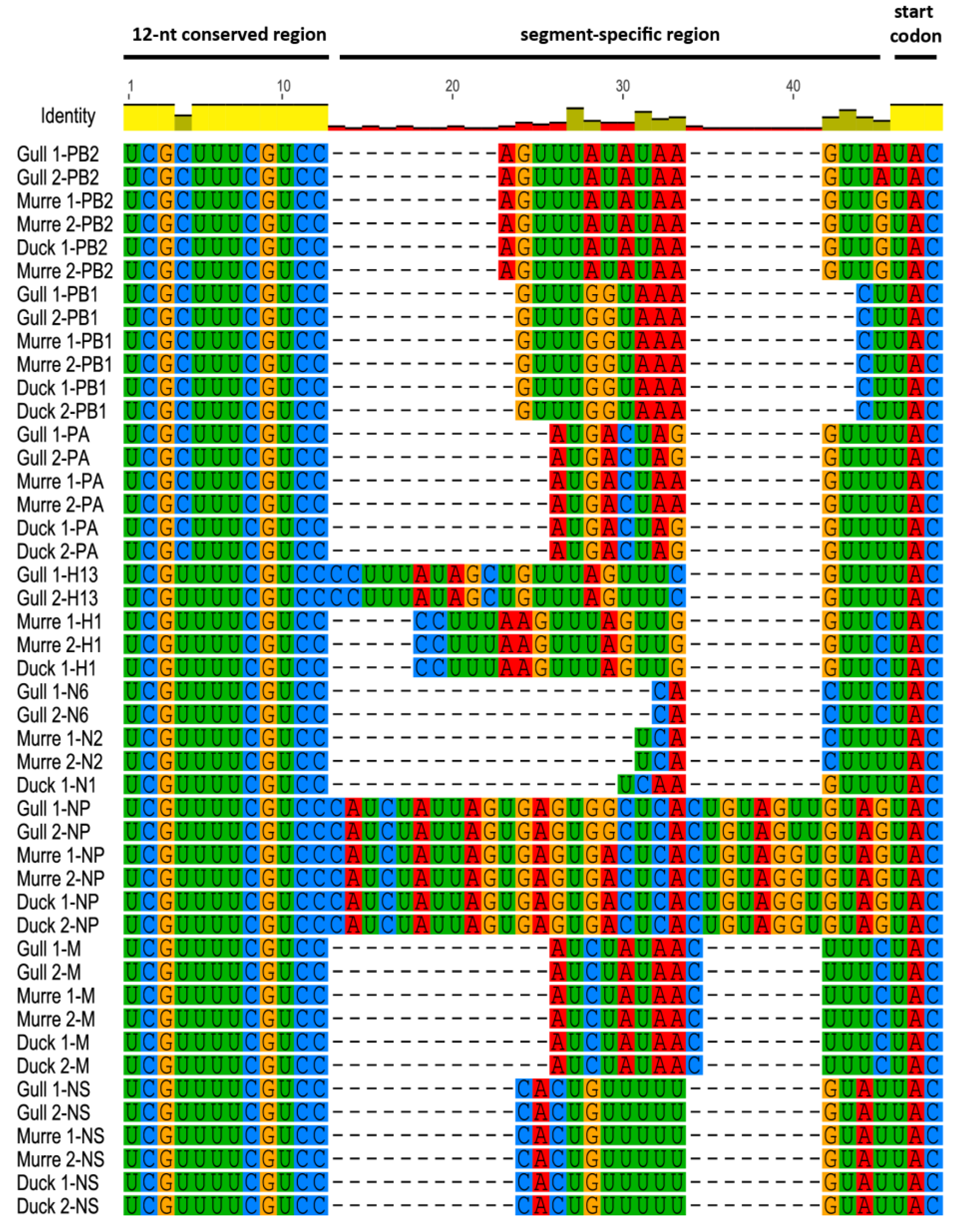 Vetsci 05 00076 g001