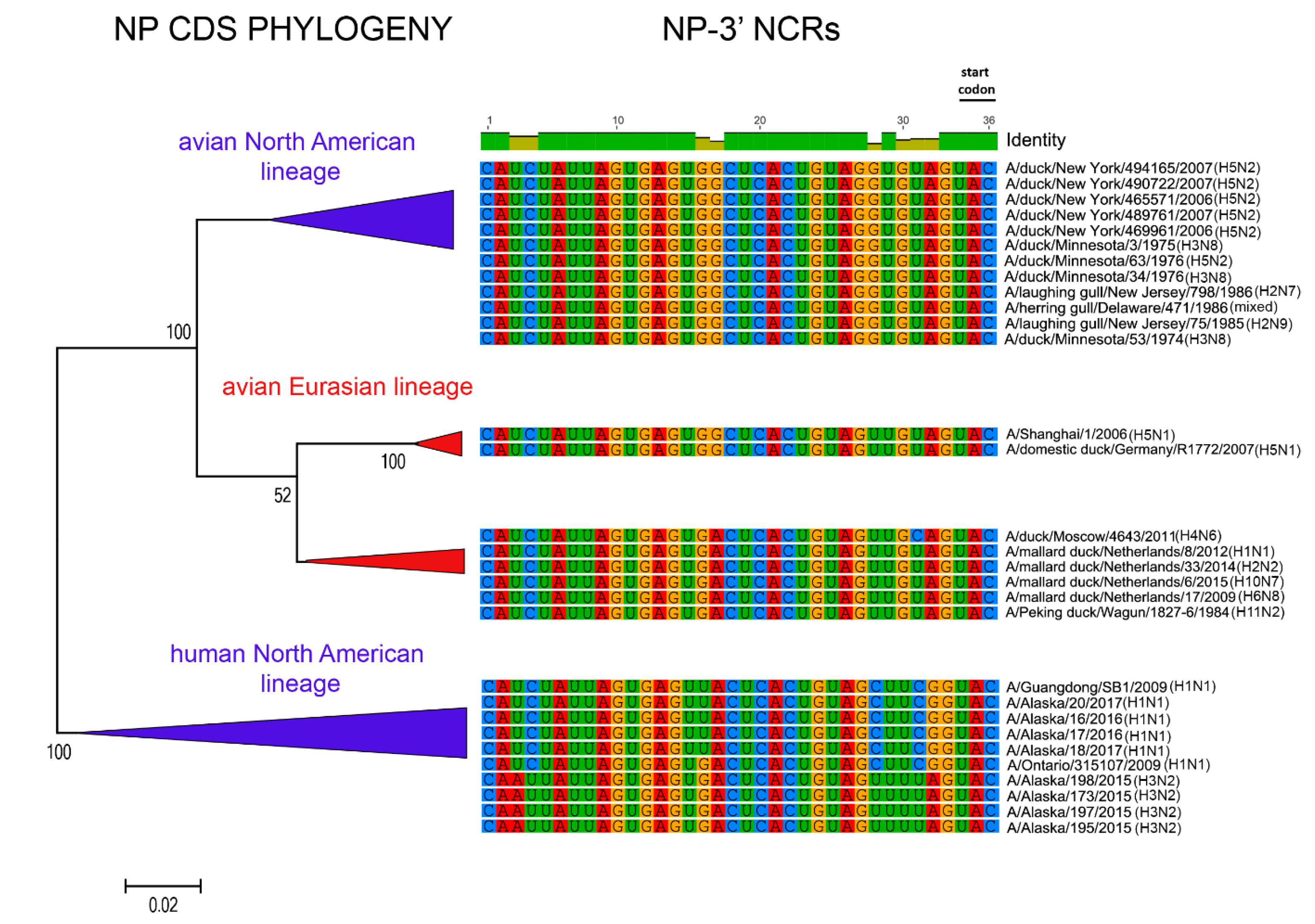 Vetsci 05 00076 g008