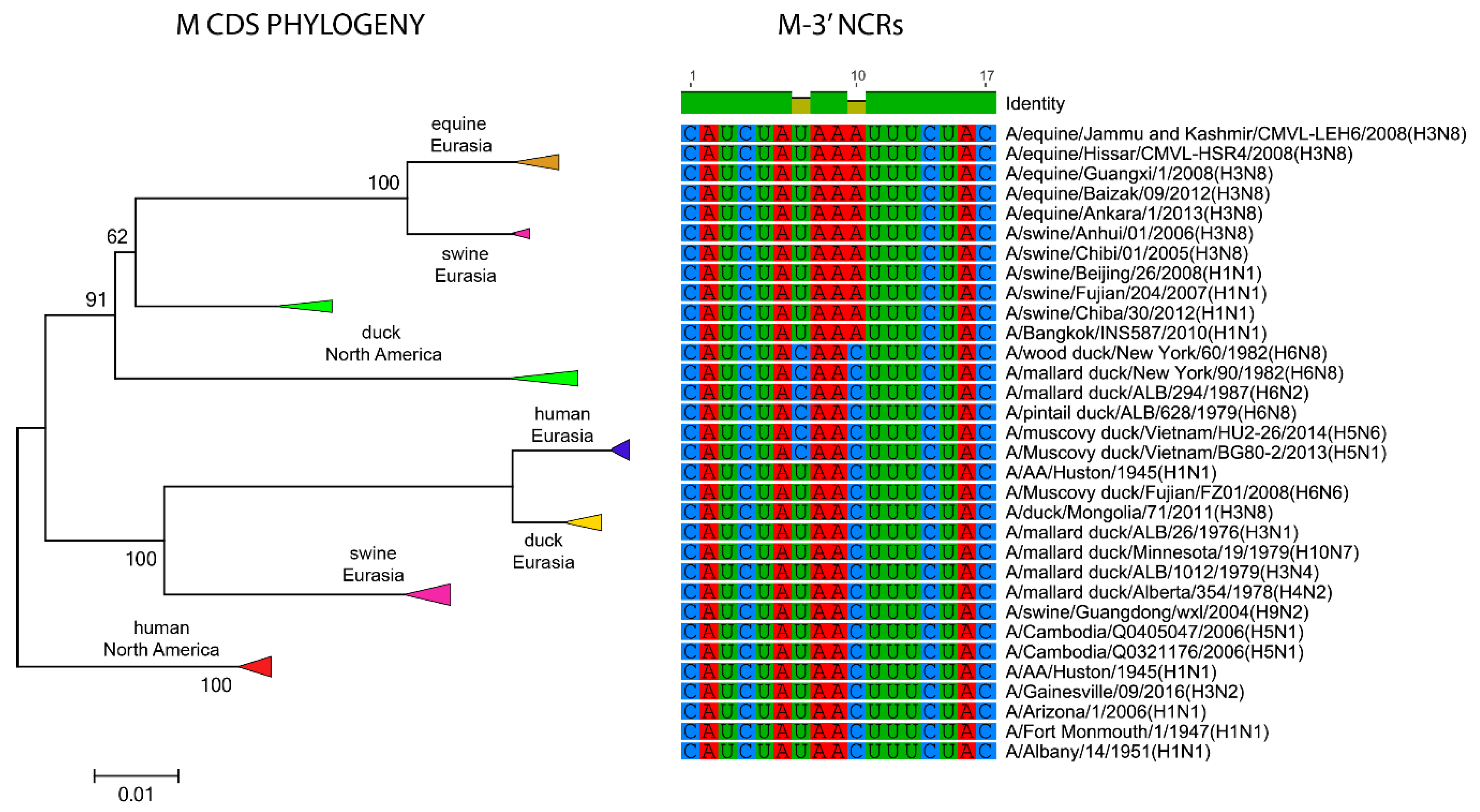 Vetsci 05 00076 g009