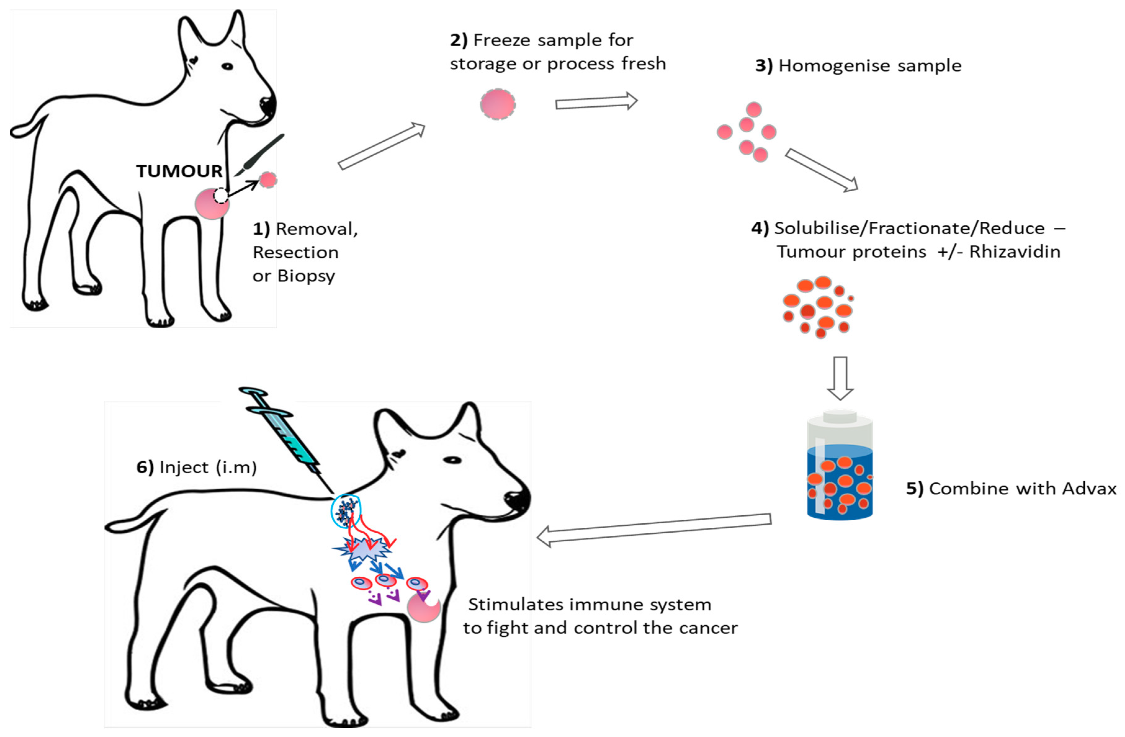 what is dog 5in1 vaccine