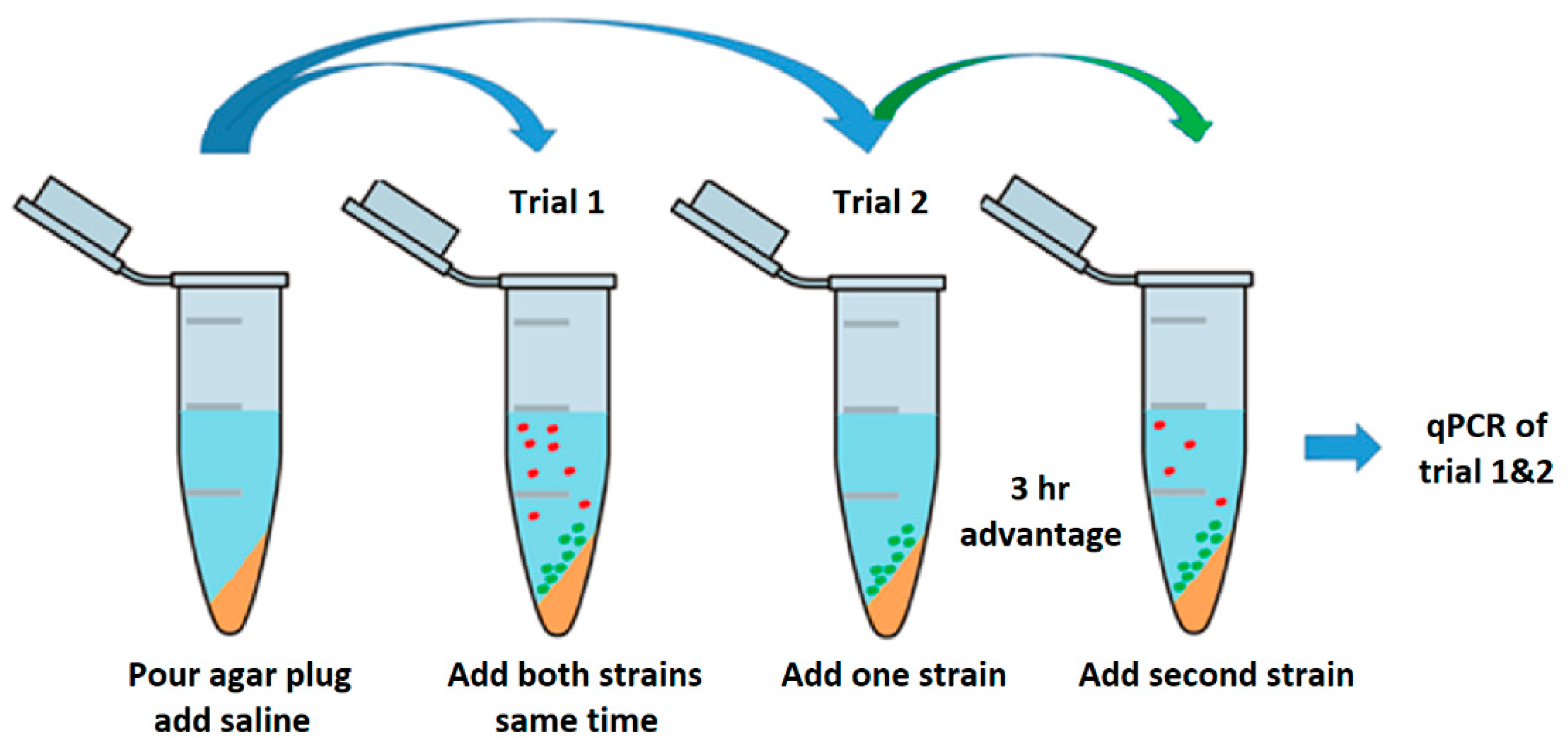 Vetsci 05 00093 g003