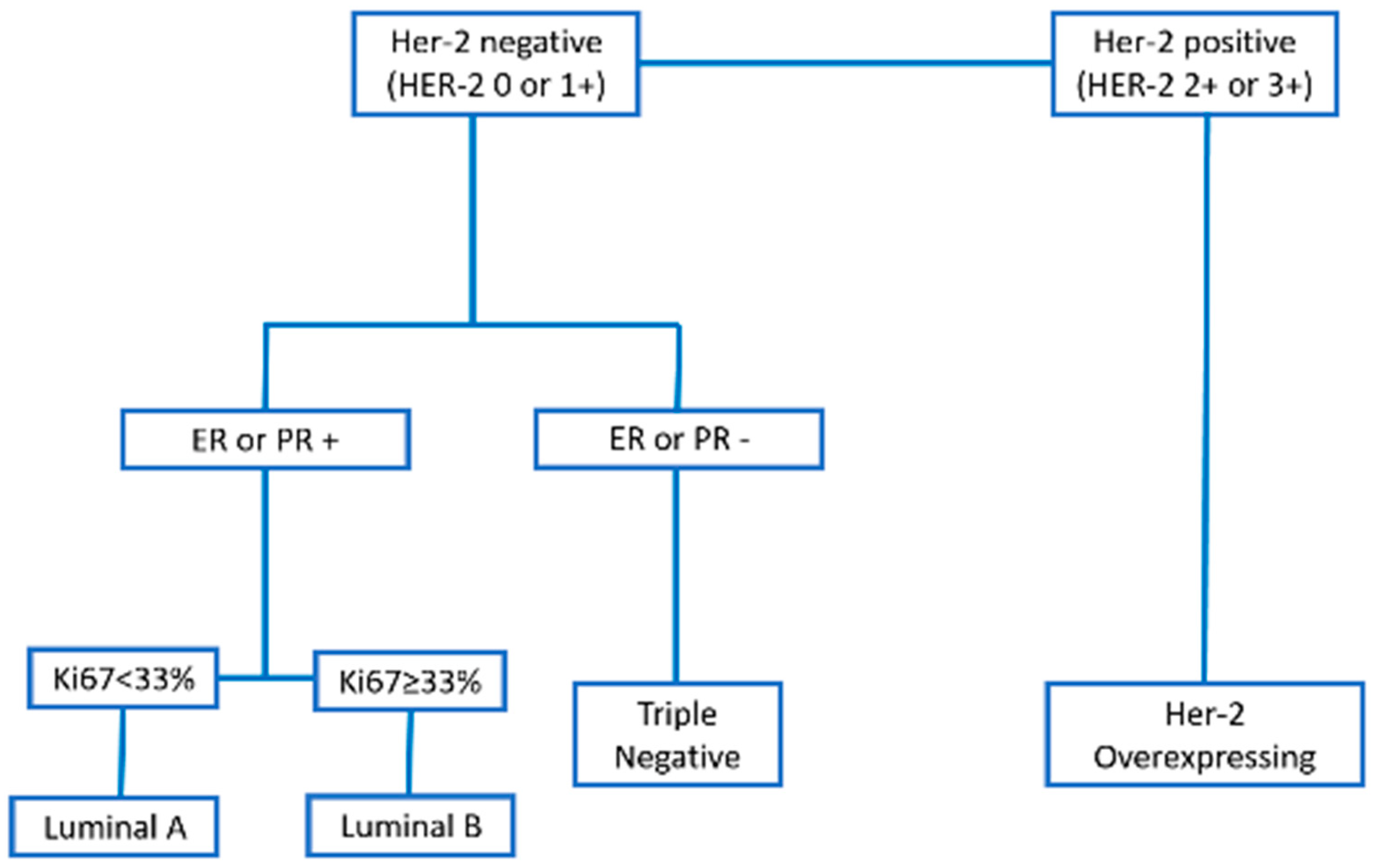 Veterinary Sciences Free Full Text Deregulation Of Vegfr 2 And Vetsci 06 00003 G001
