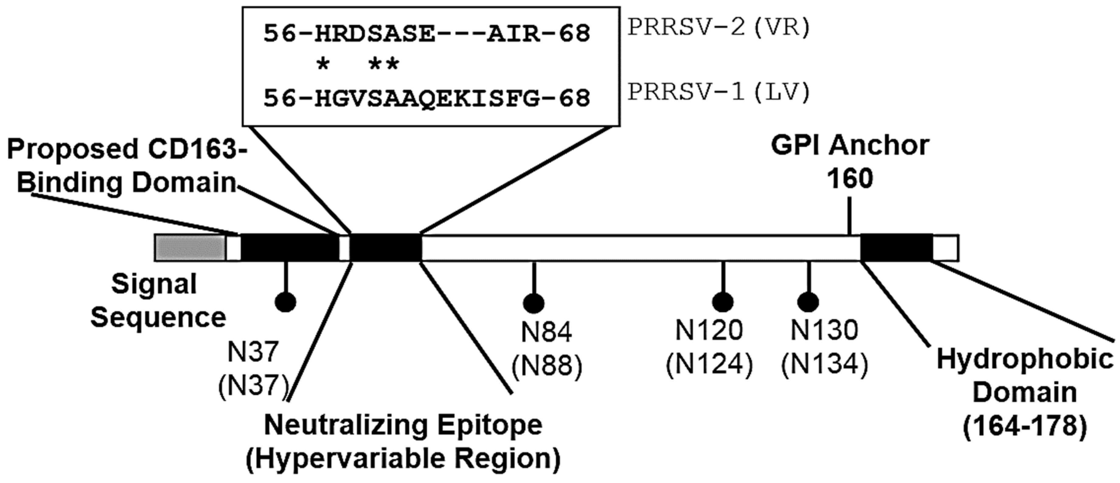 Vetsci 06 00009 g003