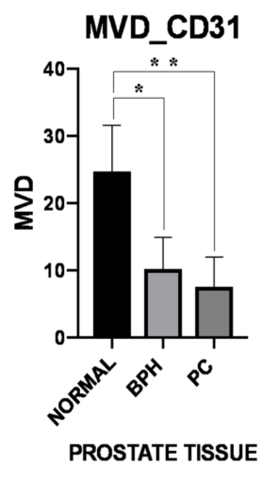 Vetsci 06 00016 g003