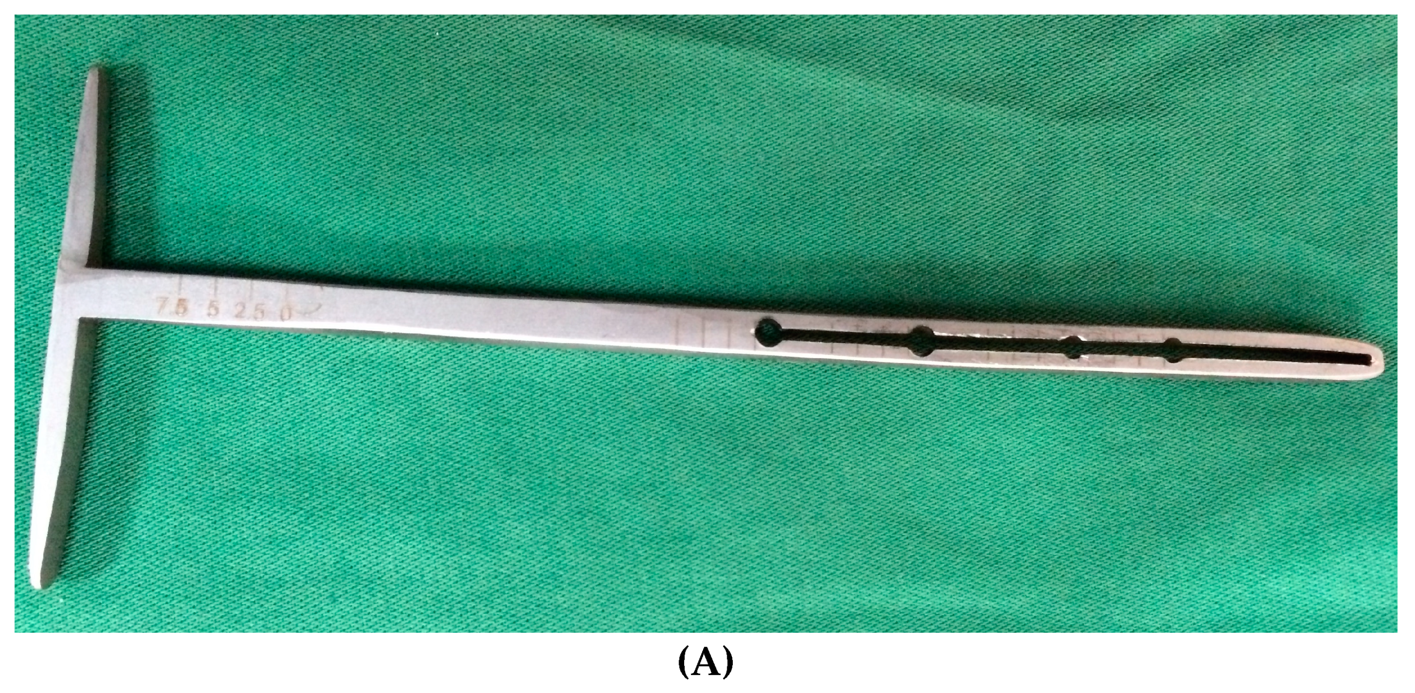 Vetsci 06 00018 g004a