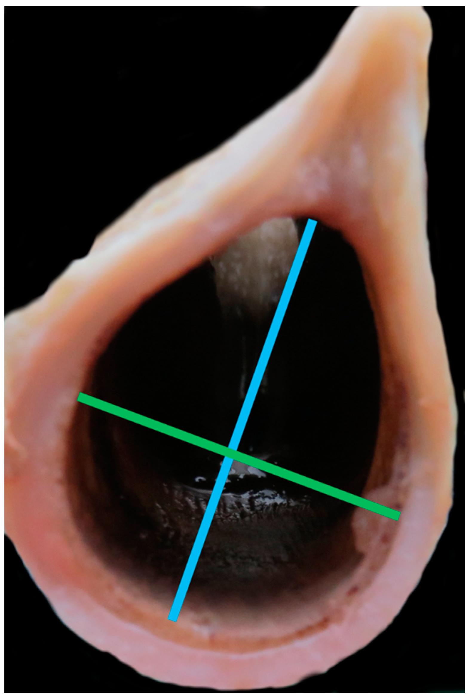 Vetsci 06 00021 g005