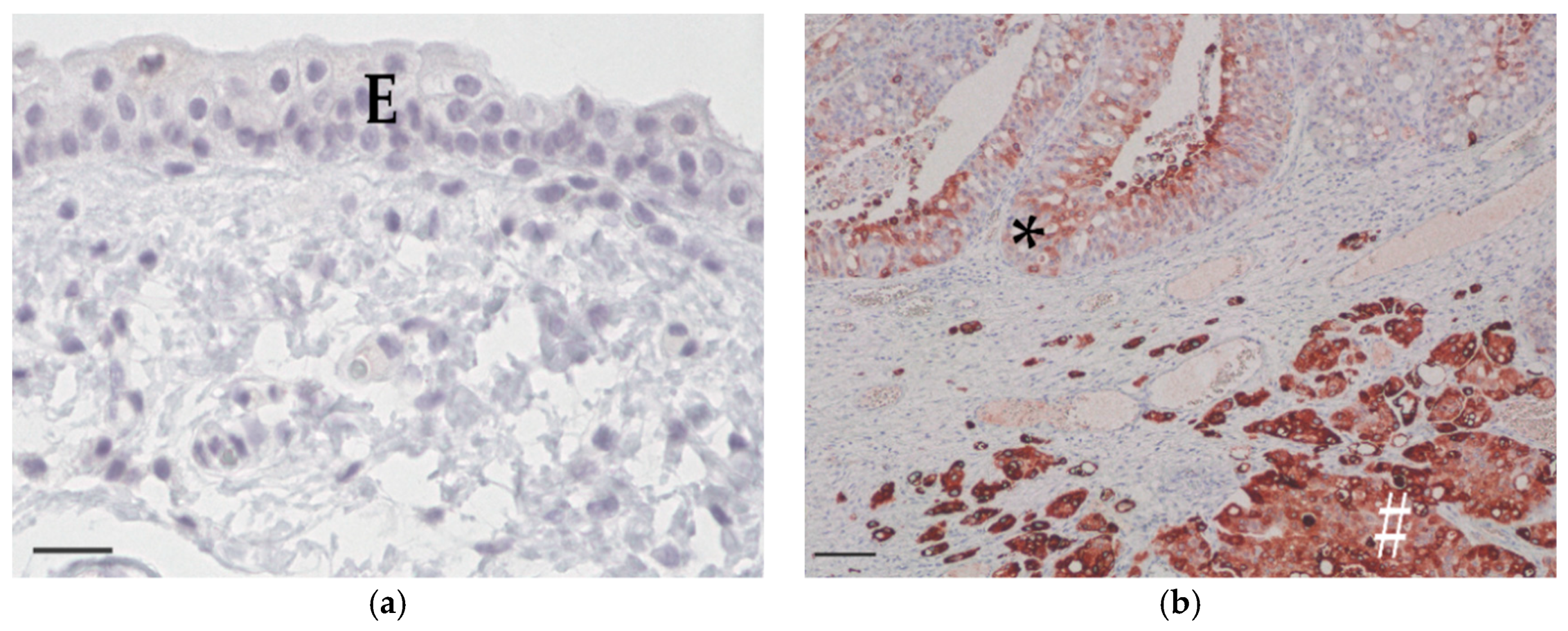 Vetsci 06 00031 g003a