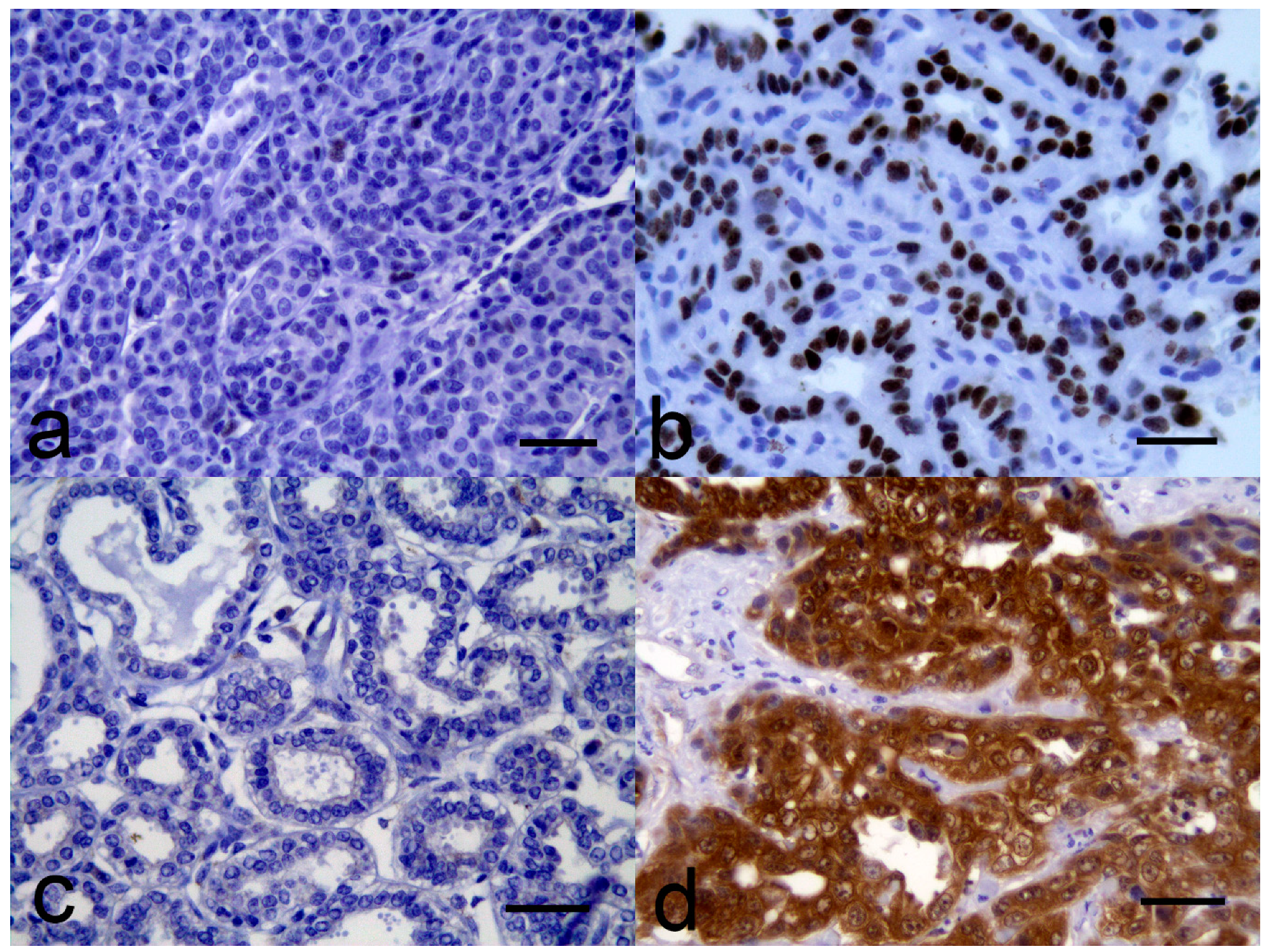 Vetsci 06 00034 g001