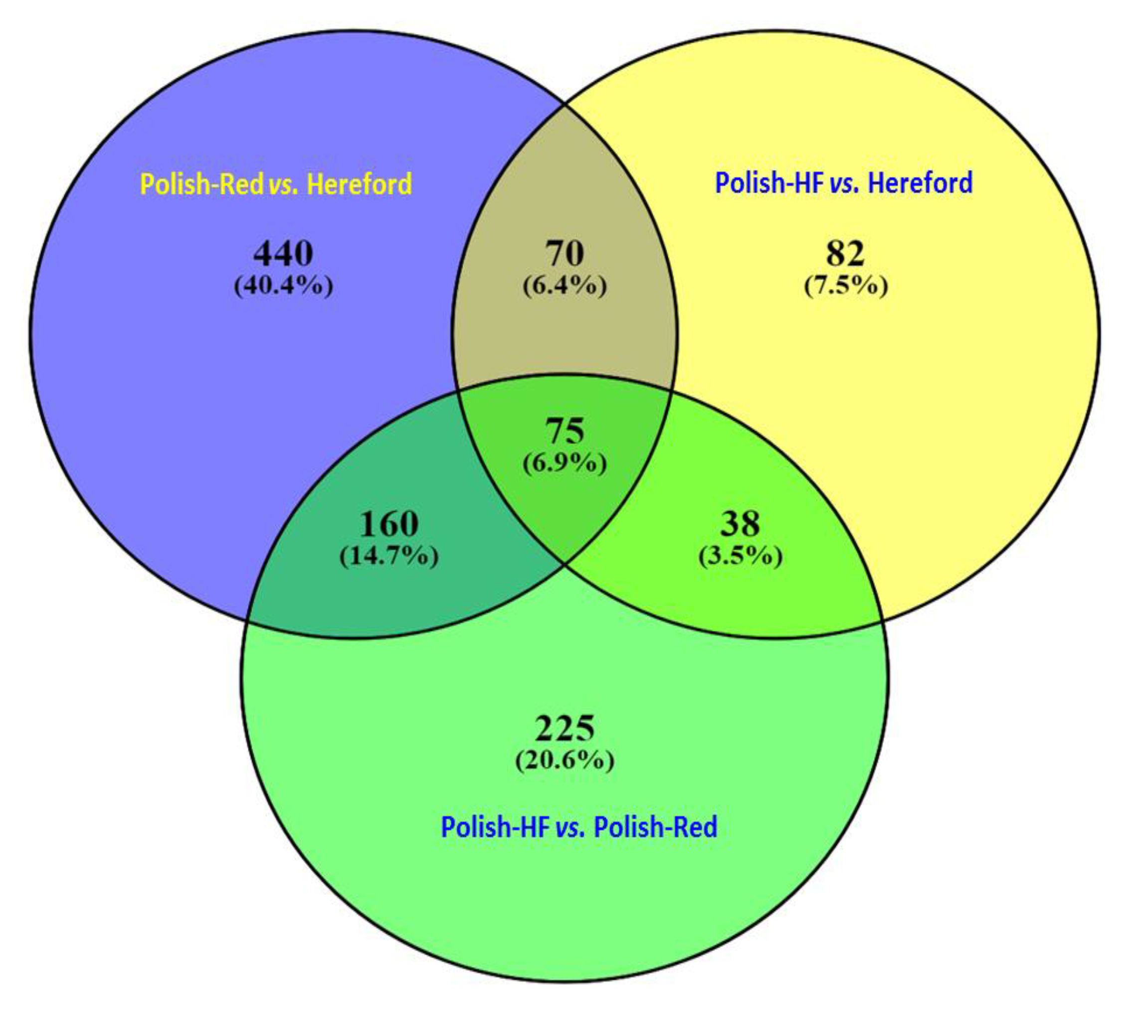 Vetsci 06 00036 g002