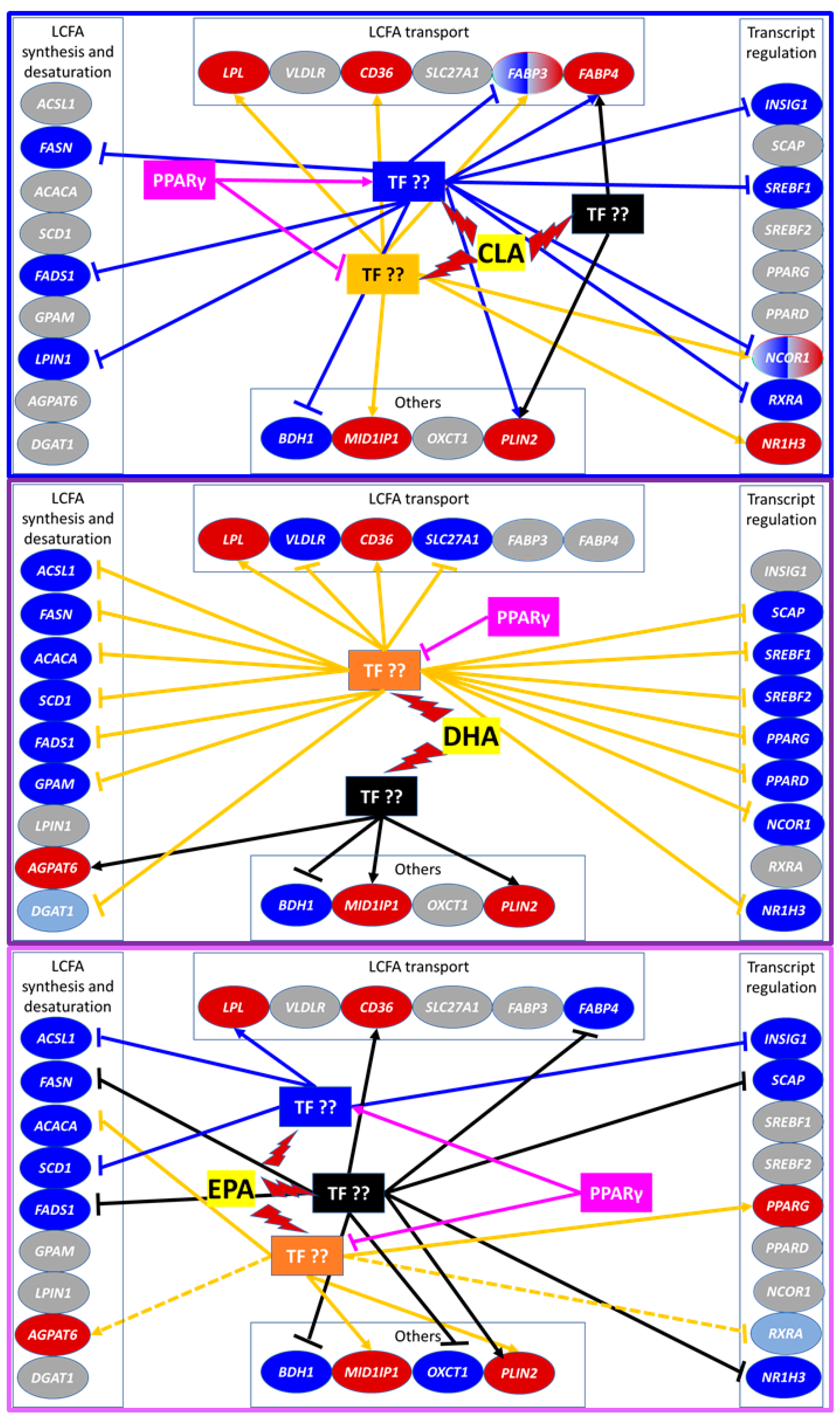 Vetsci 06 00054 g006 Vetsci 06 00054 g006