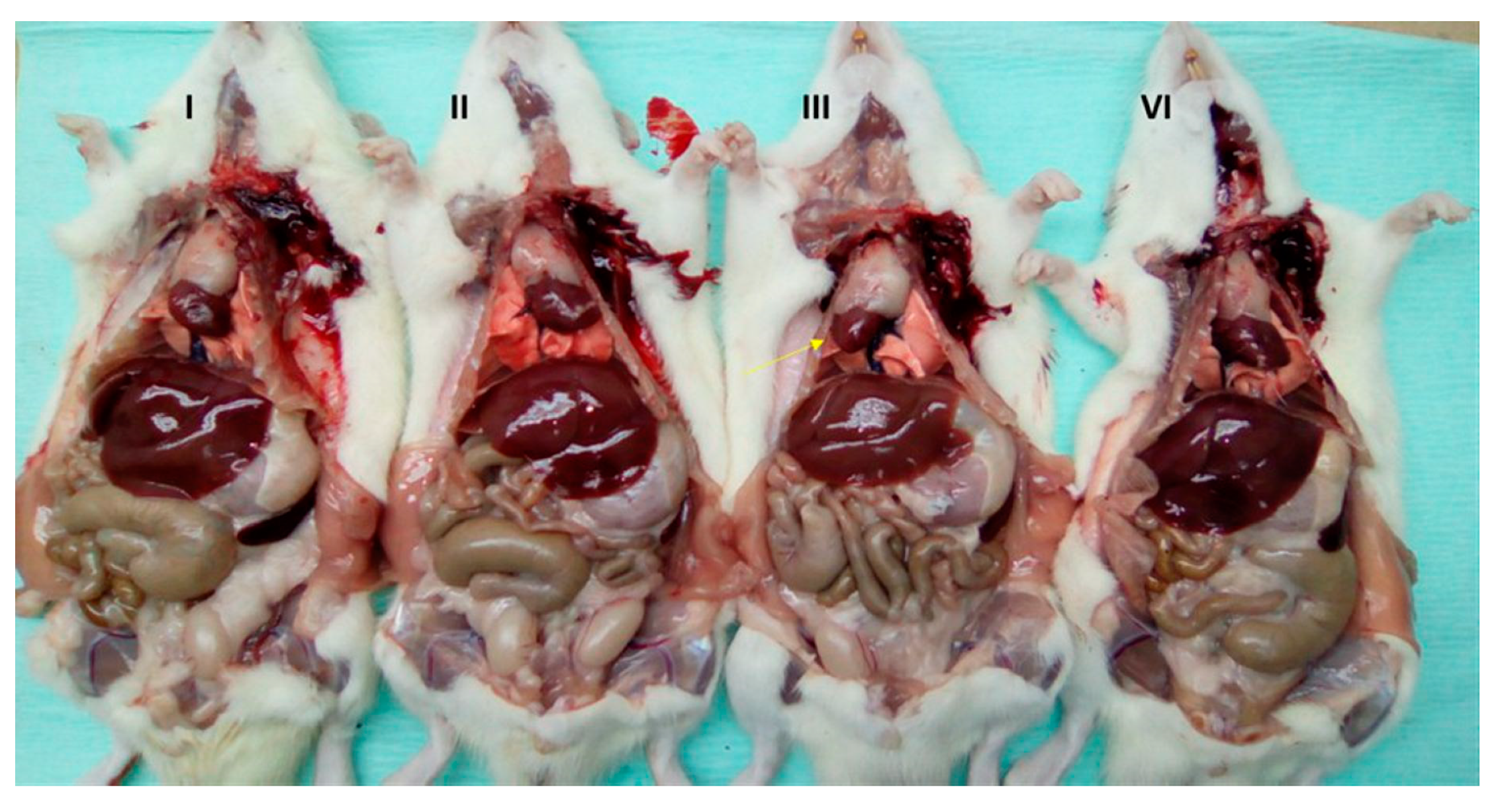 Vetsci 06 00067 g002