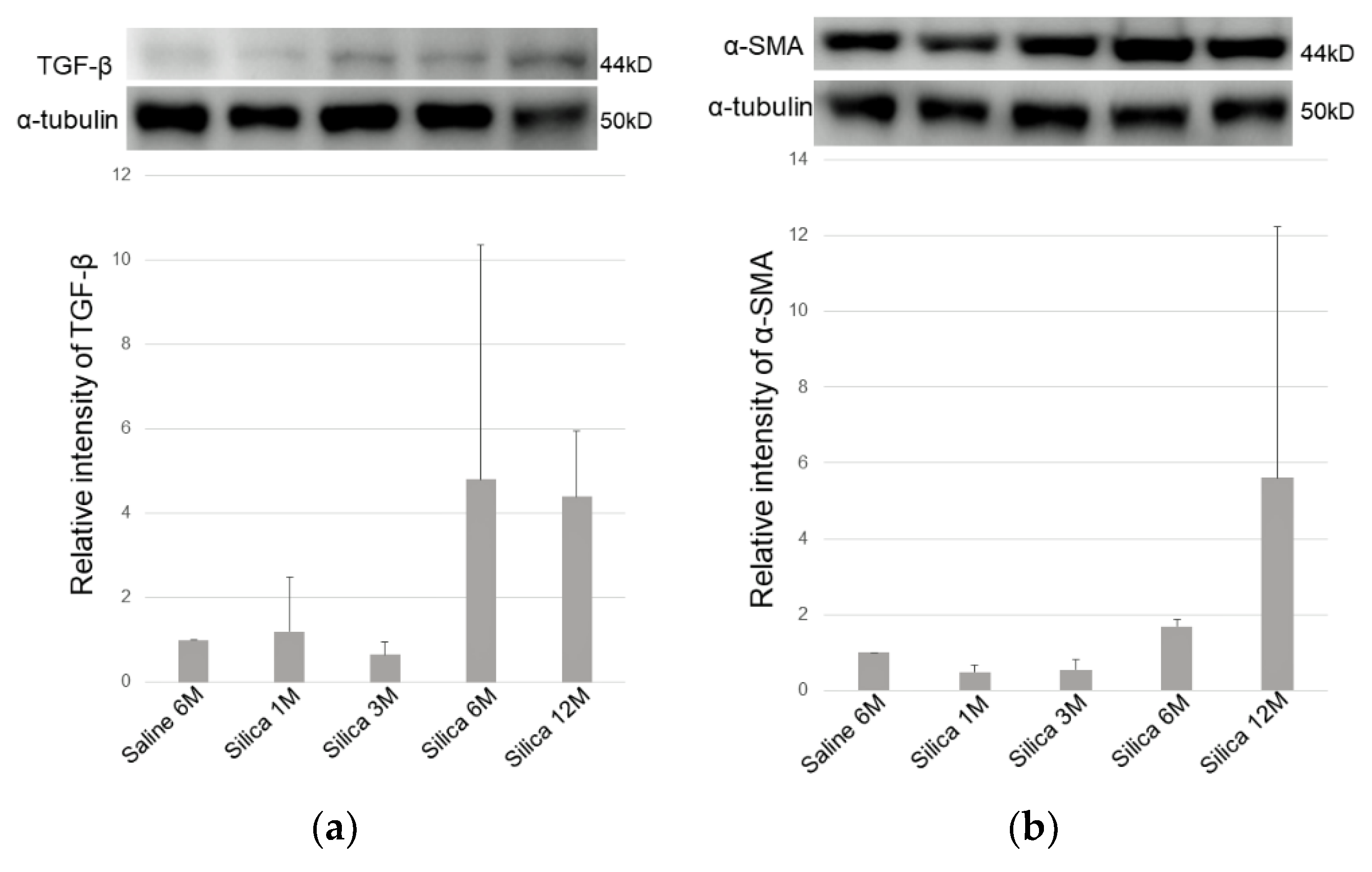 Vetsci 06 00070 g007