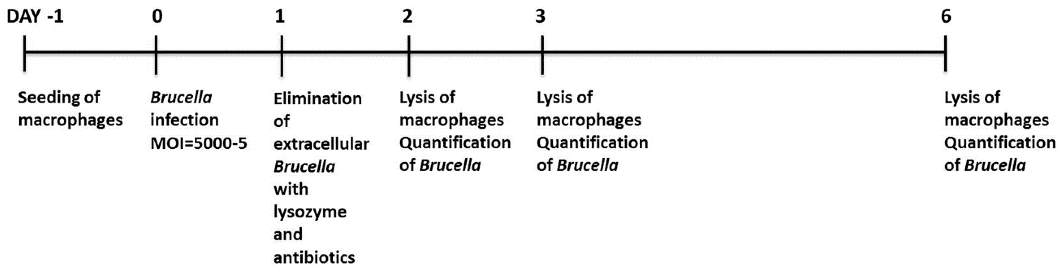 Vetsci 06 00071 g001
