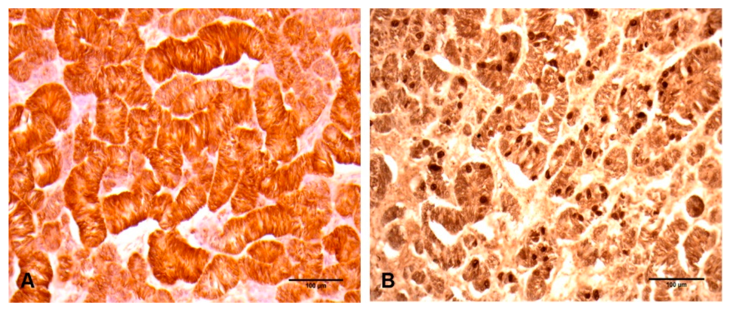 Vetsci 06 00077 g003