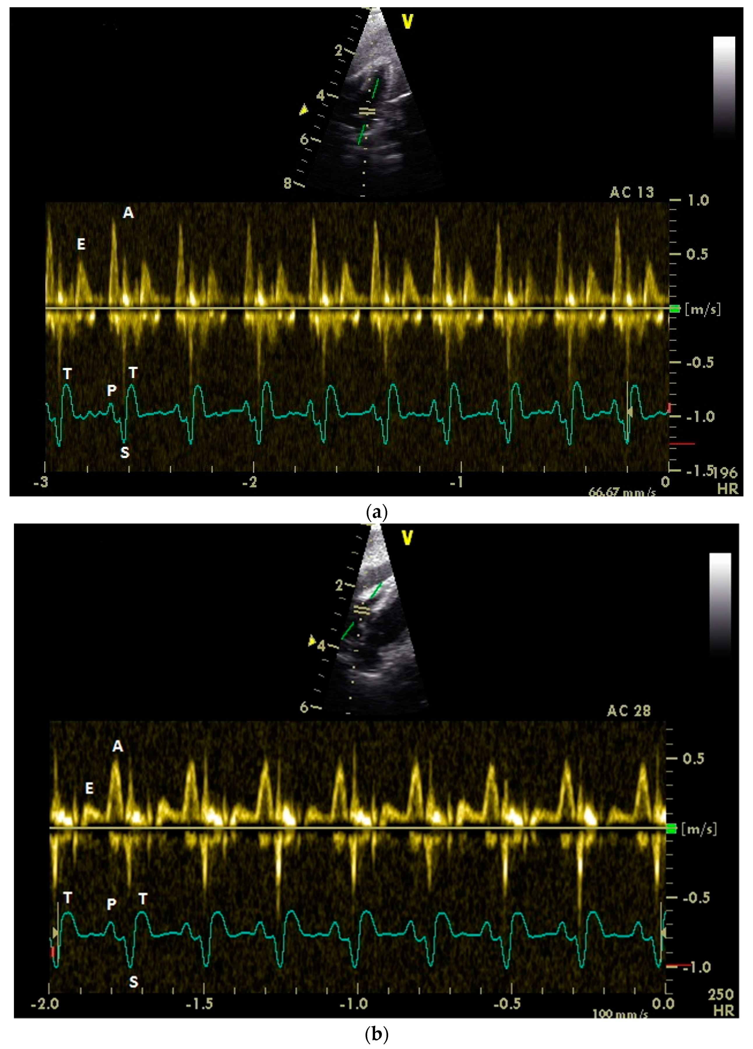 Vetsci 06 00079 g001