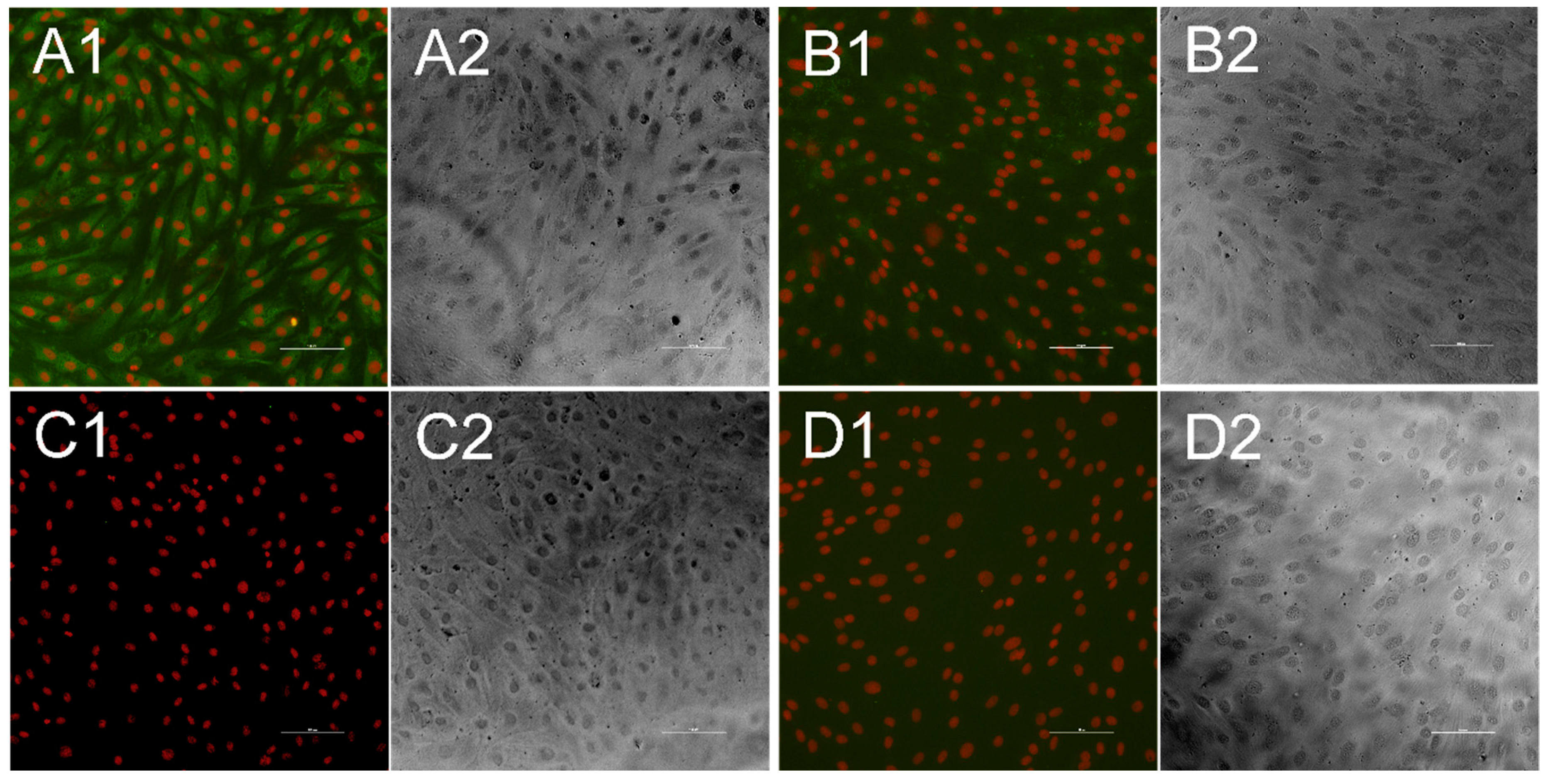 Vetsci 06 00086 g004