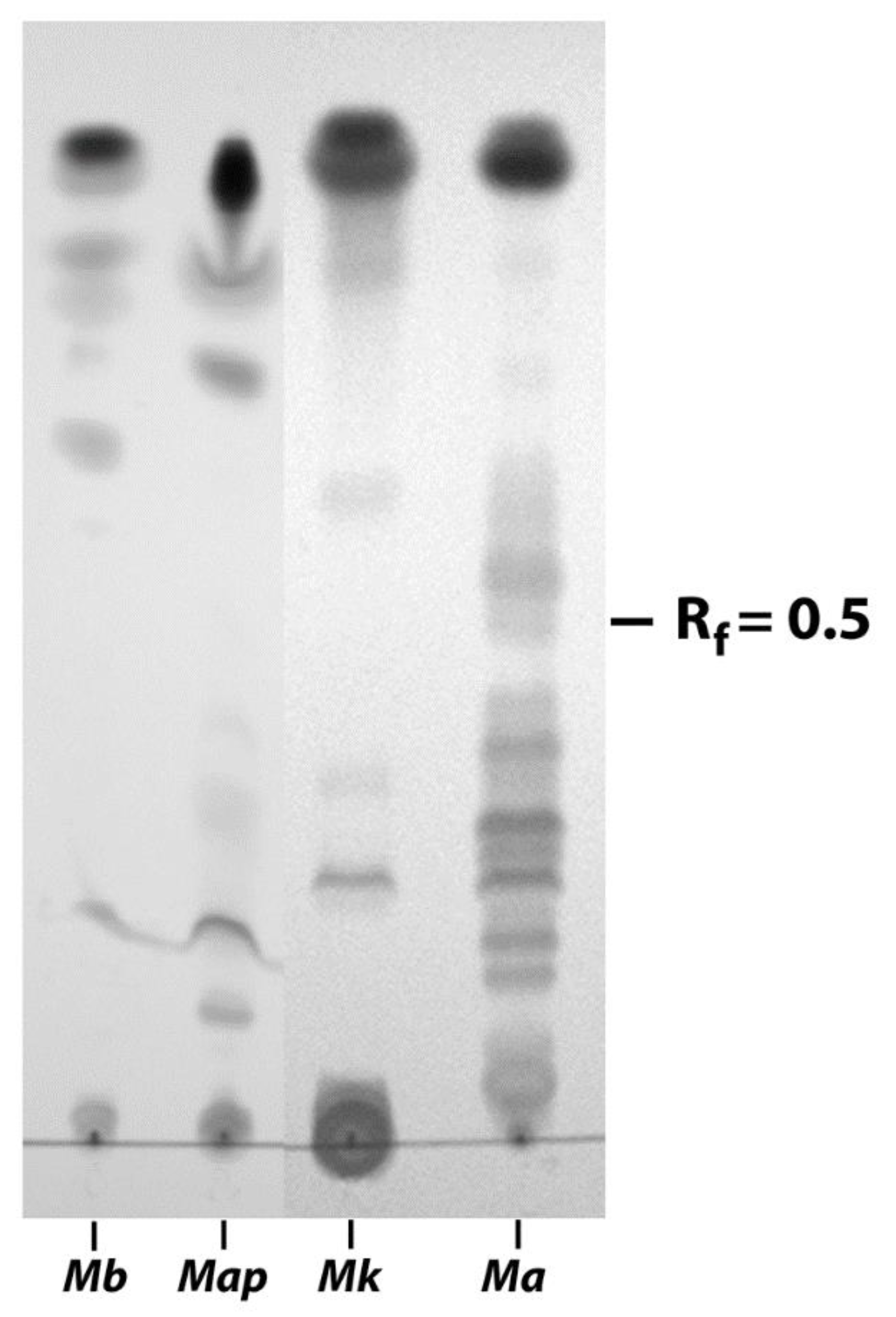 Vetsci 06 00088 g004