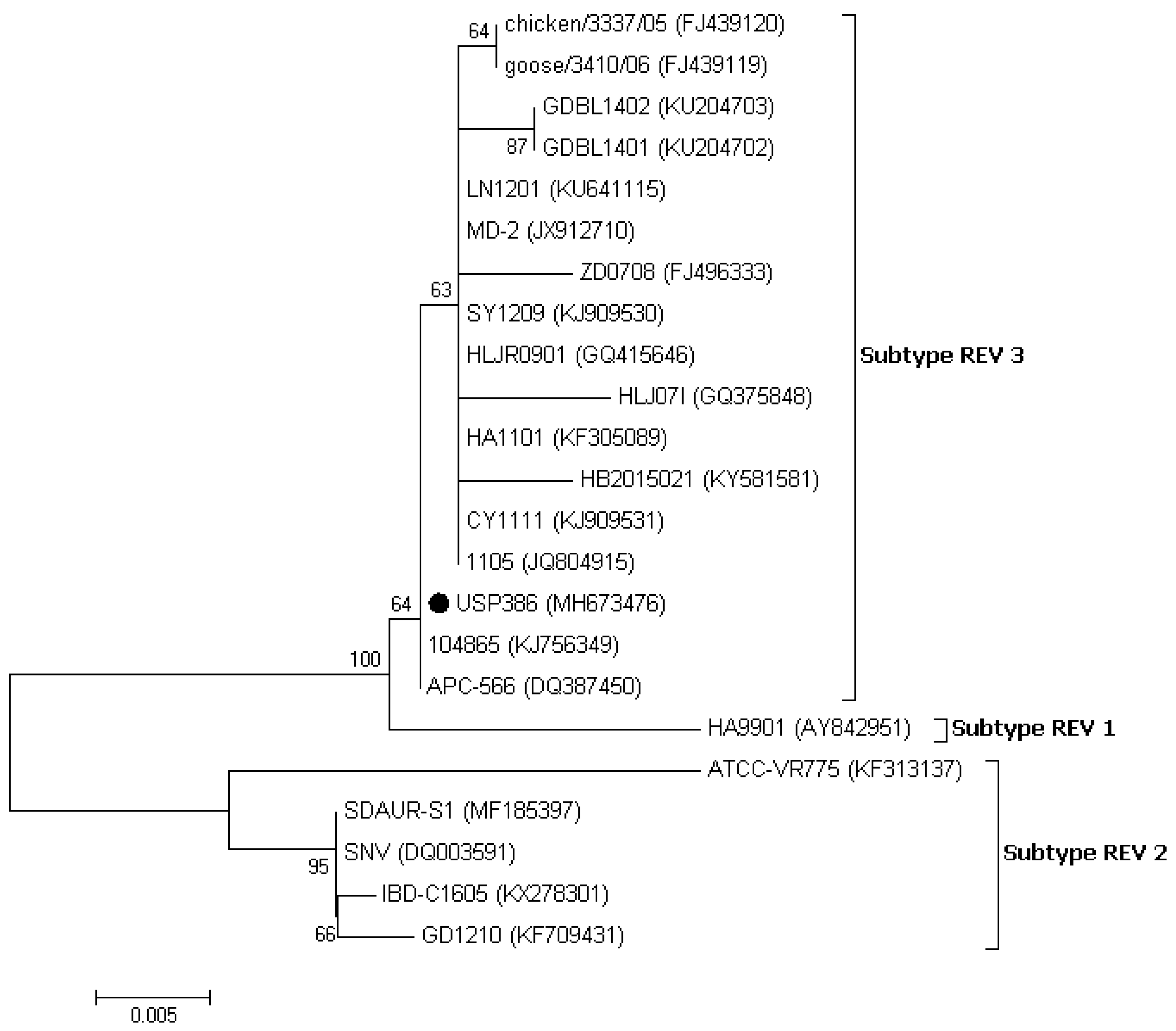 Vetsci 06 00092 g005 Vetsci 06 00092 g005