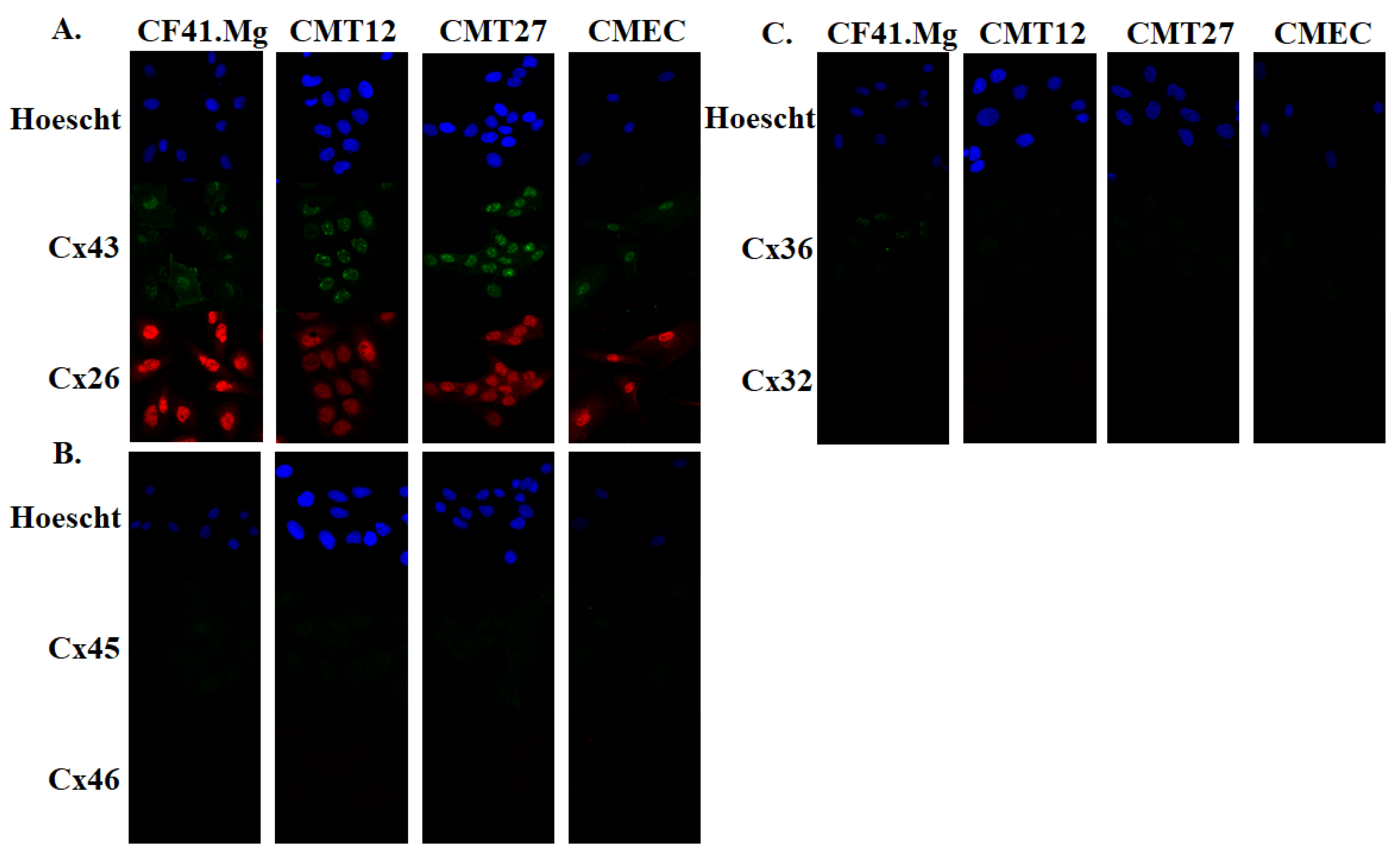 Vetsci 06 00101 g001