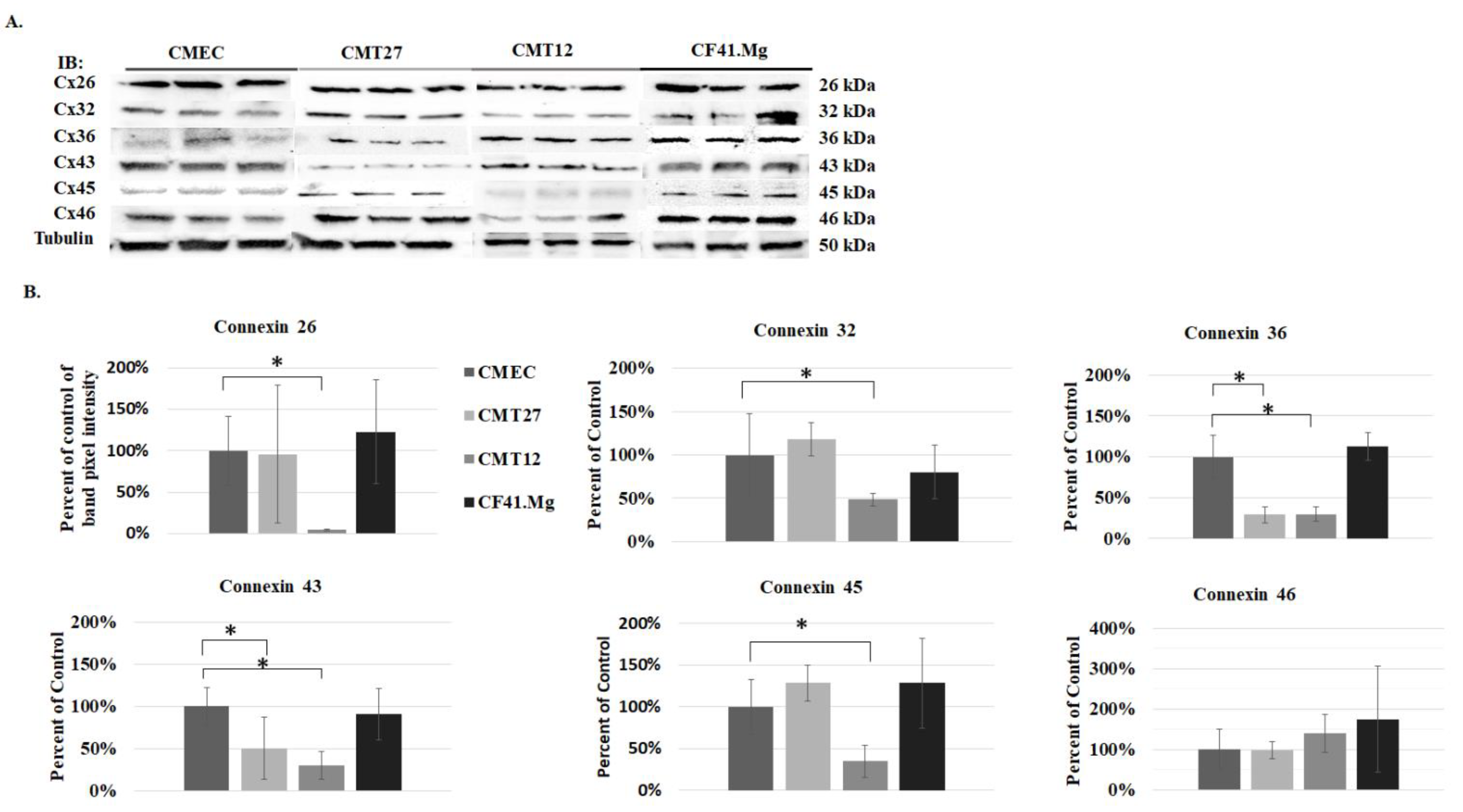 Vetsci 06 00101 g002