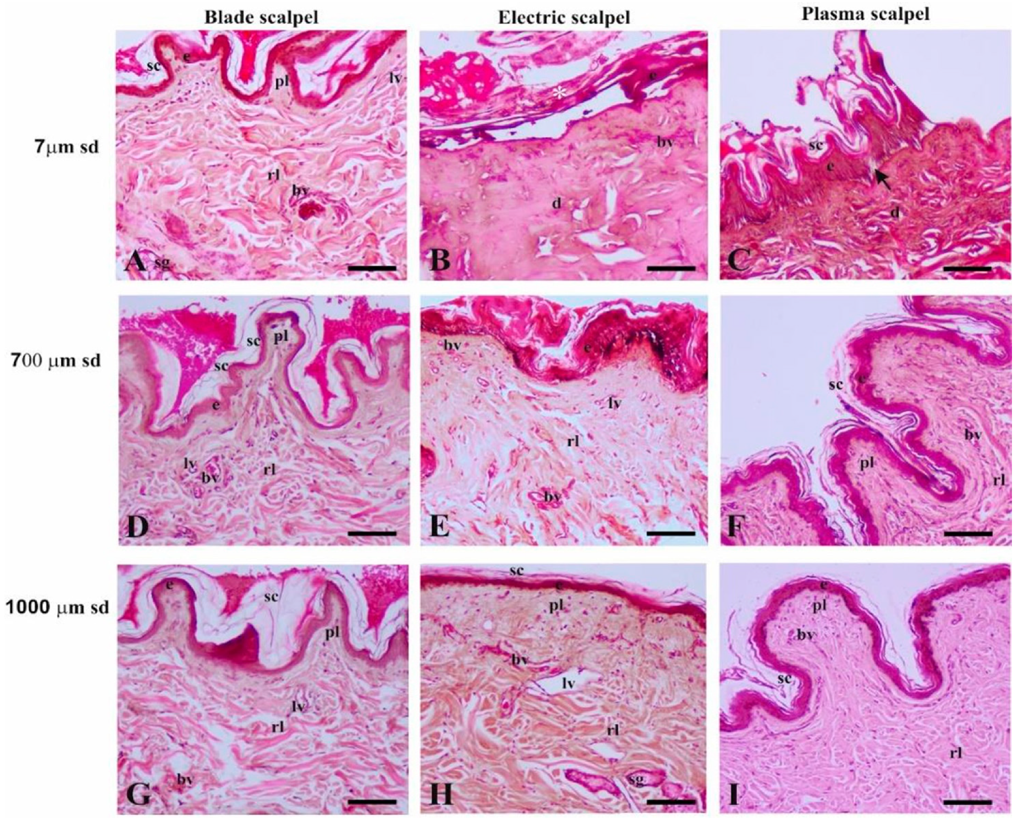 Vetsci 07 00008 g003