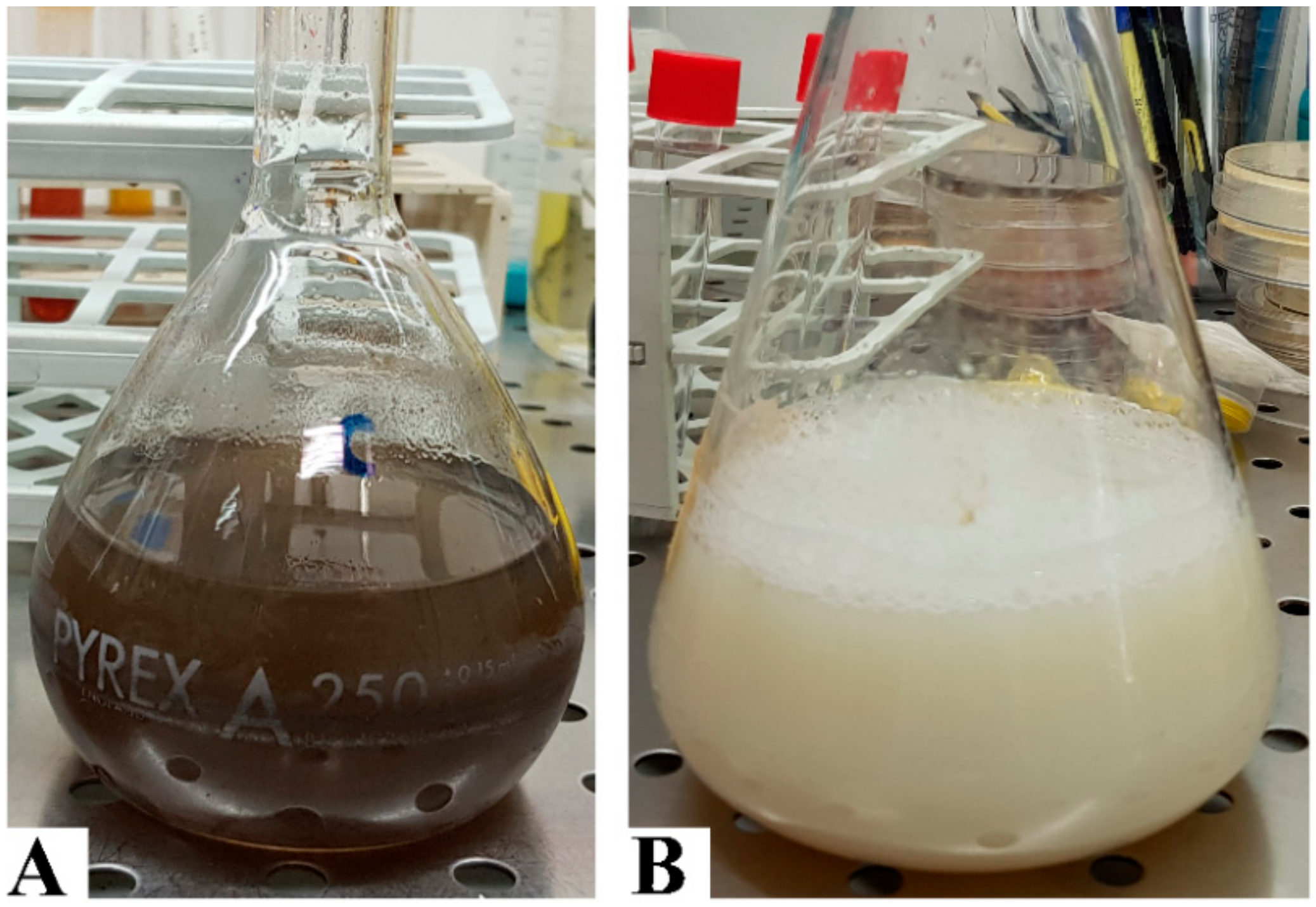 Vetsci 07 00012 g001 Vetsci 07 00012 g001