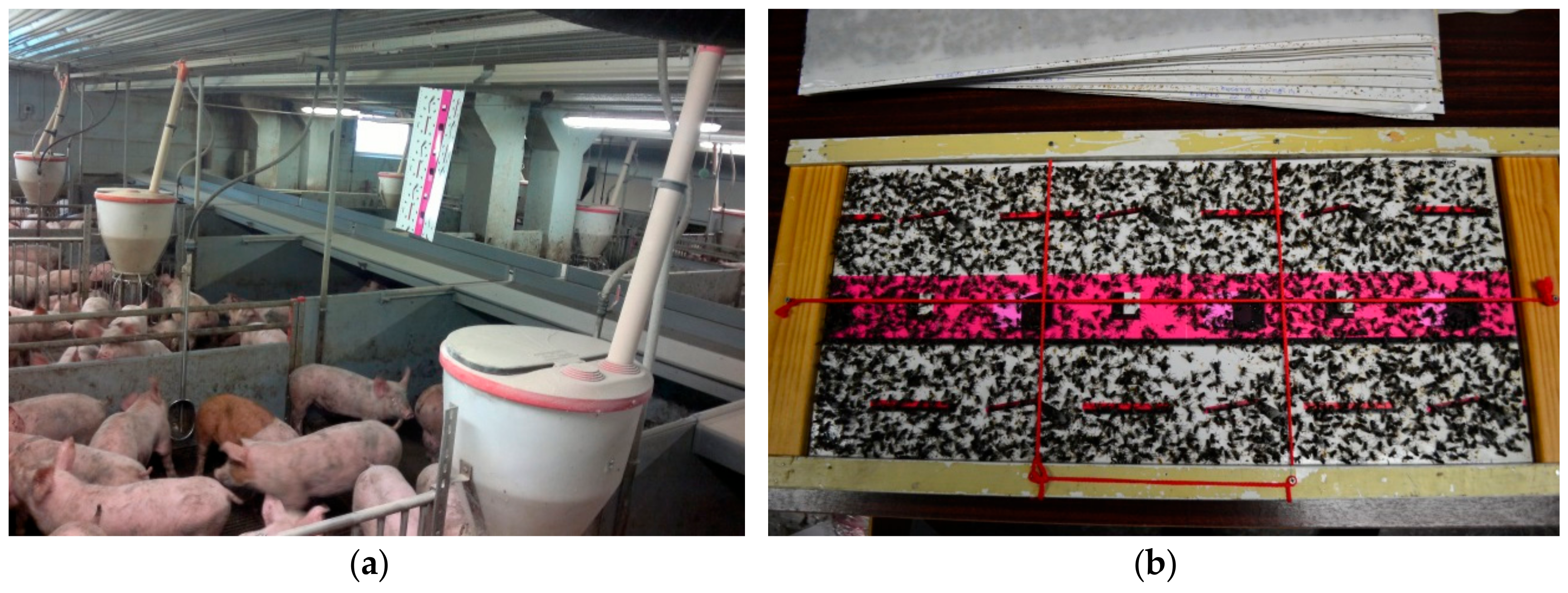 Vetsci 07 00013 g002