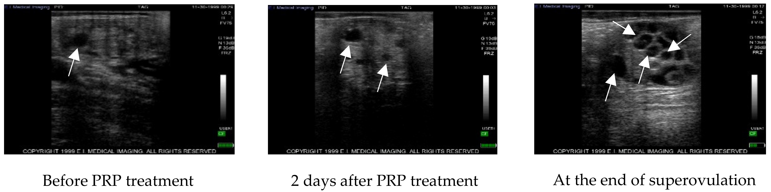 Vetsci 07 00016 g002