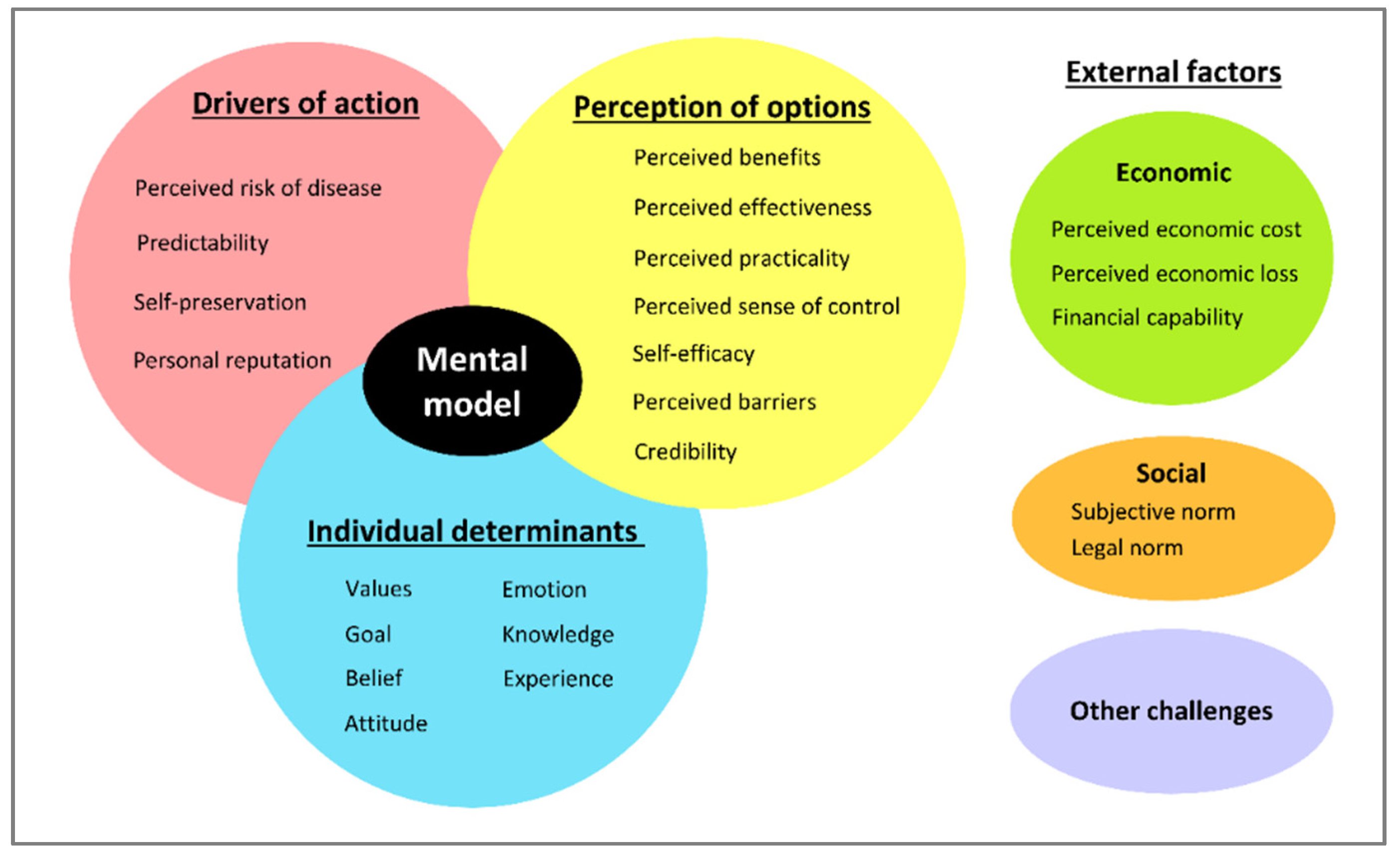 Veterinary Sciences | Free Full-Text | Exploring the Mental Model of ...