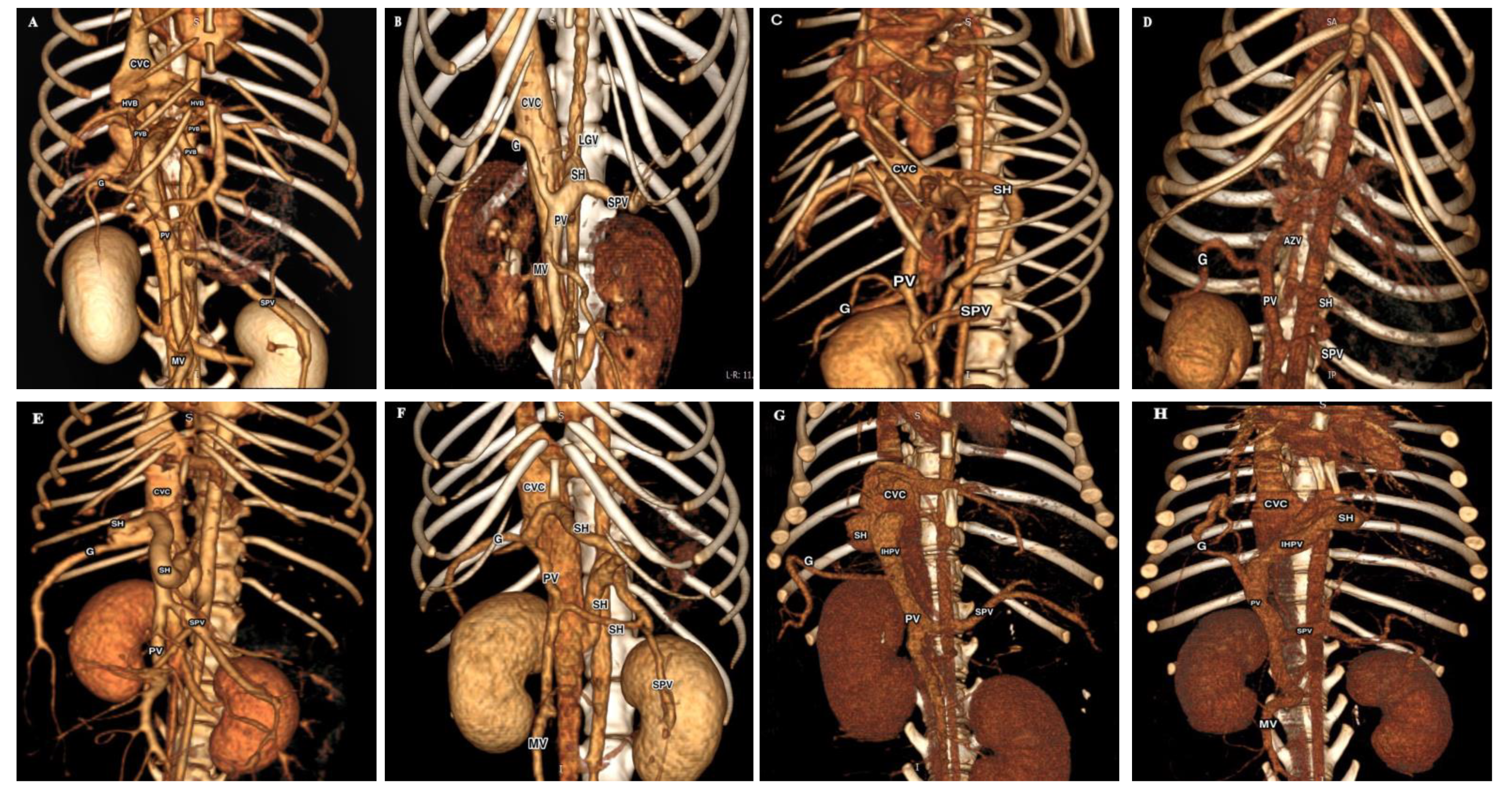 Vetsci 07 00035 g001