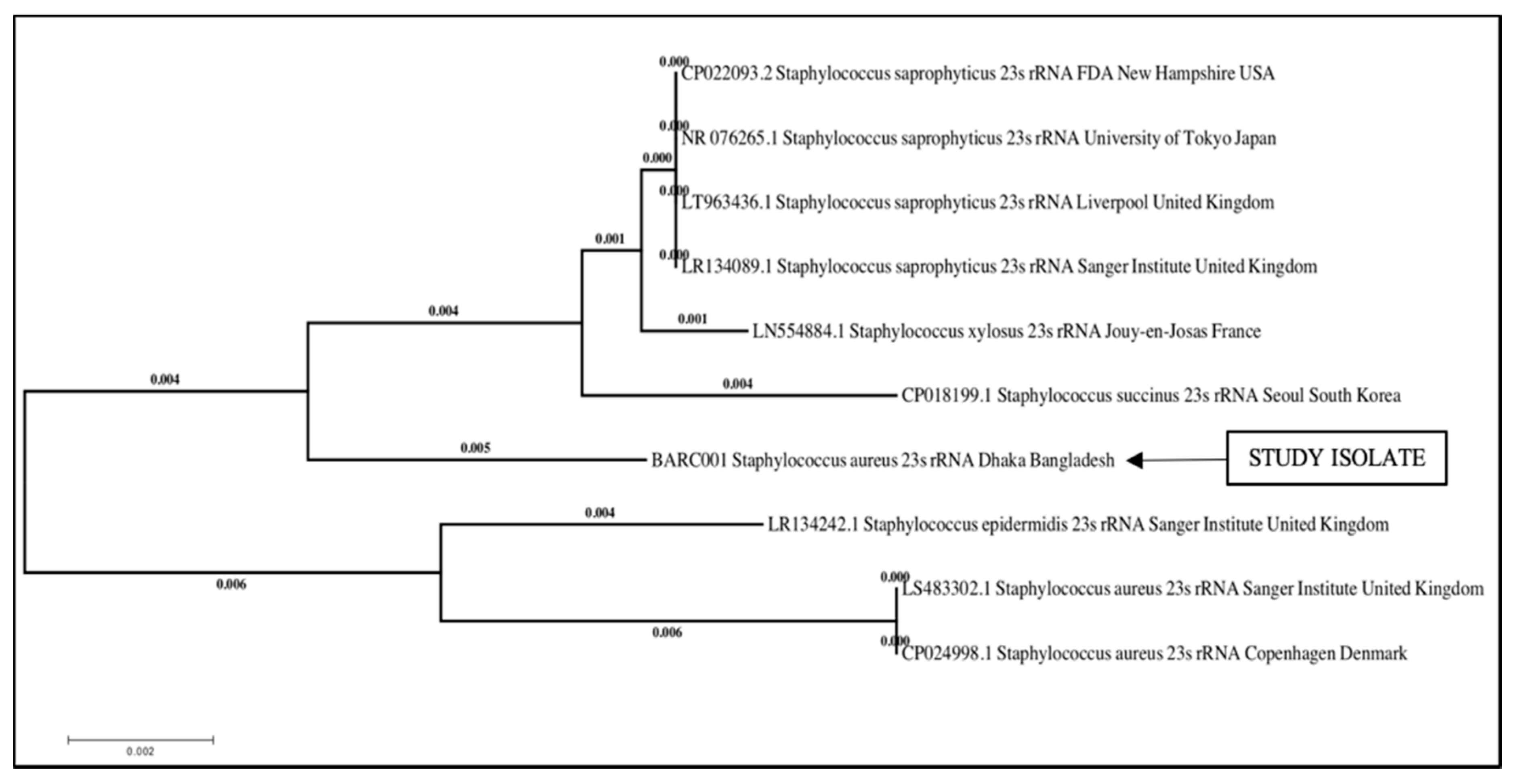 Vetsci 07 00036 g002 Vetsci 07 00036 g002