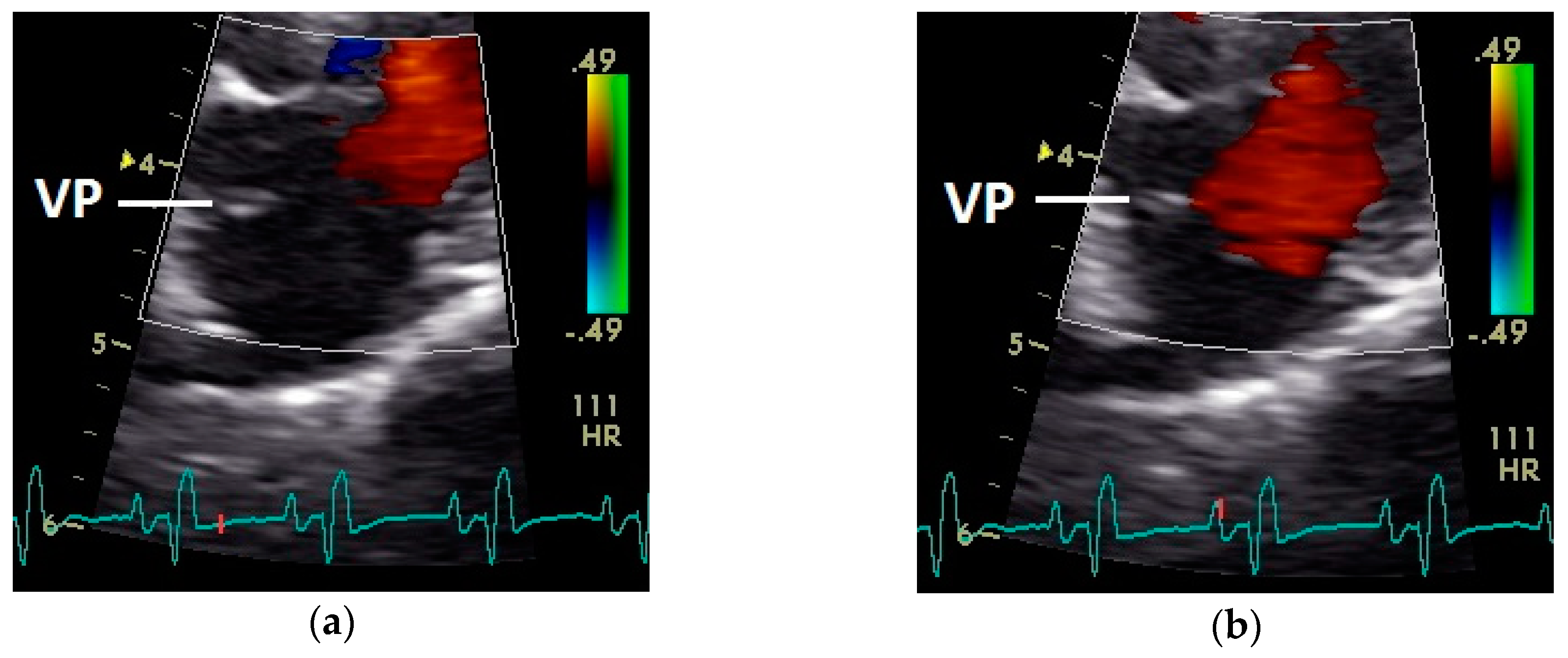 Vetsci 07 00060 g007