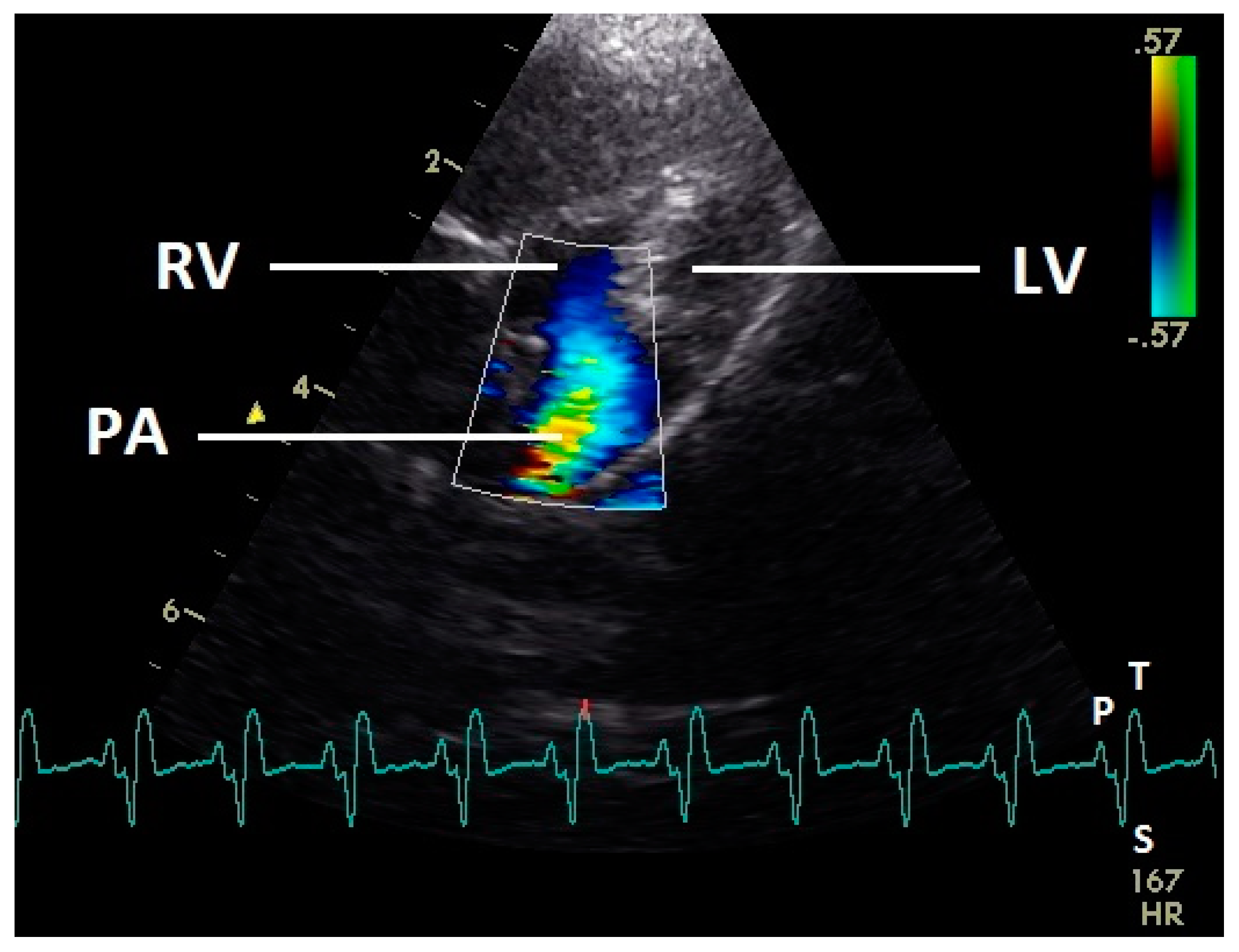 Vetsci 07 00060 g010