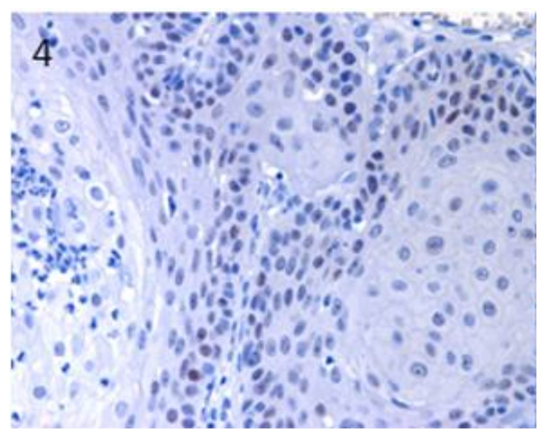 Vetsci 07 00062 g004 Vetsci 07 00062 g004