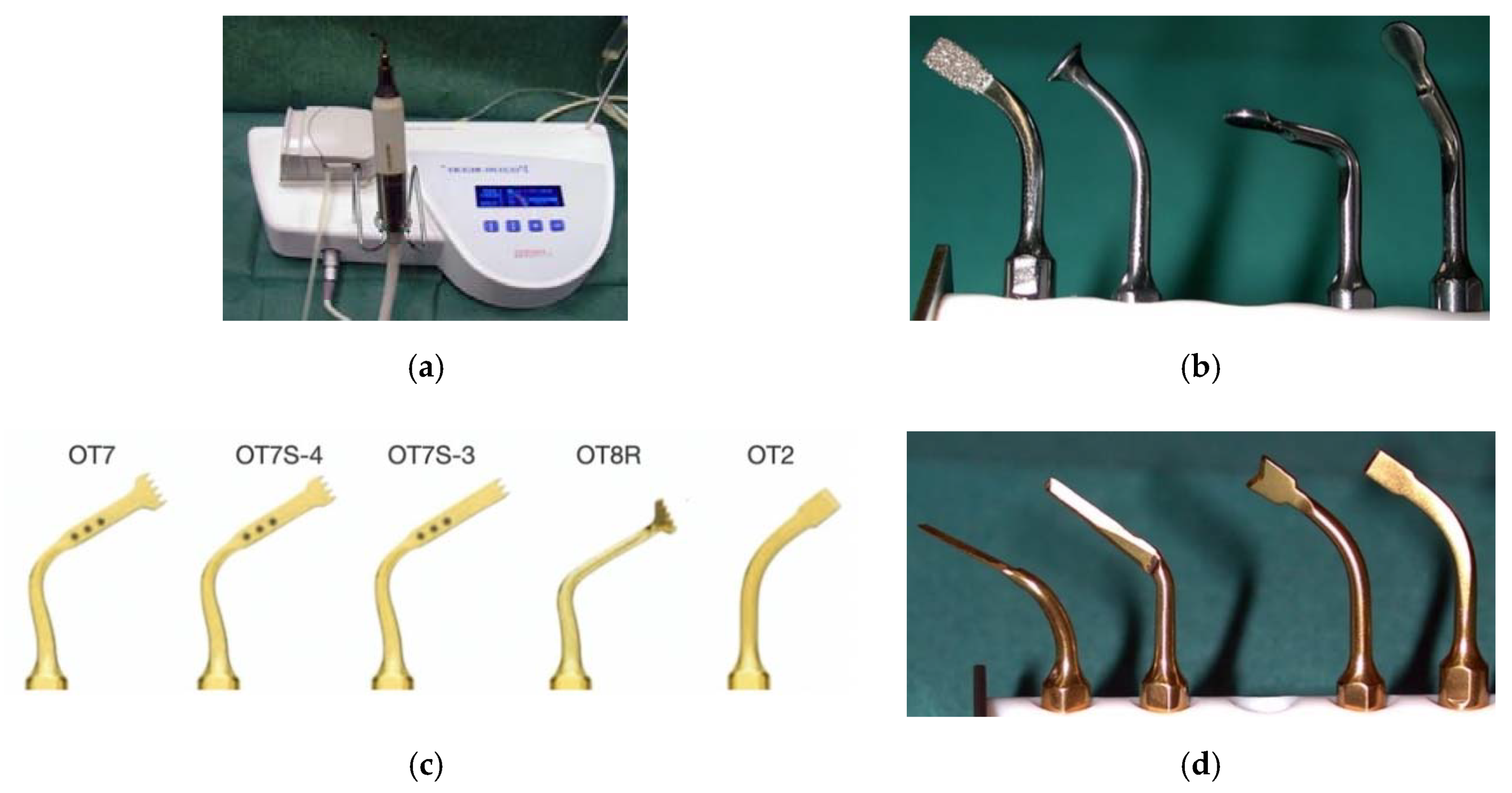 Vetsci 07 00068 g001 Vetsci 07 00068 g001