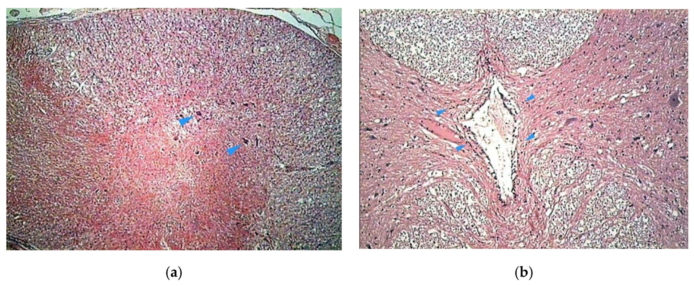 Vetsci 07 00068 g002 Vetsci 07 00068 g002