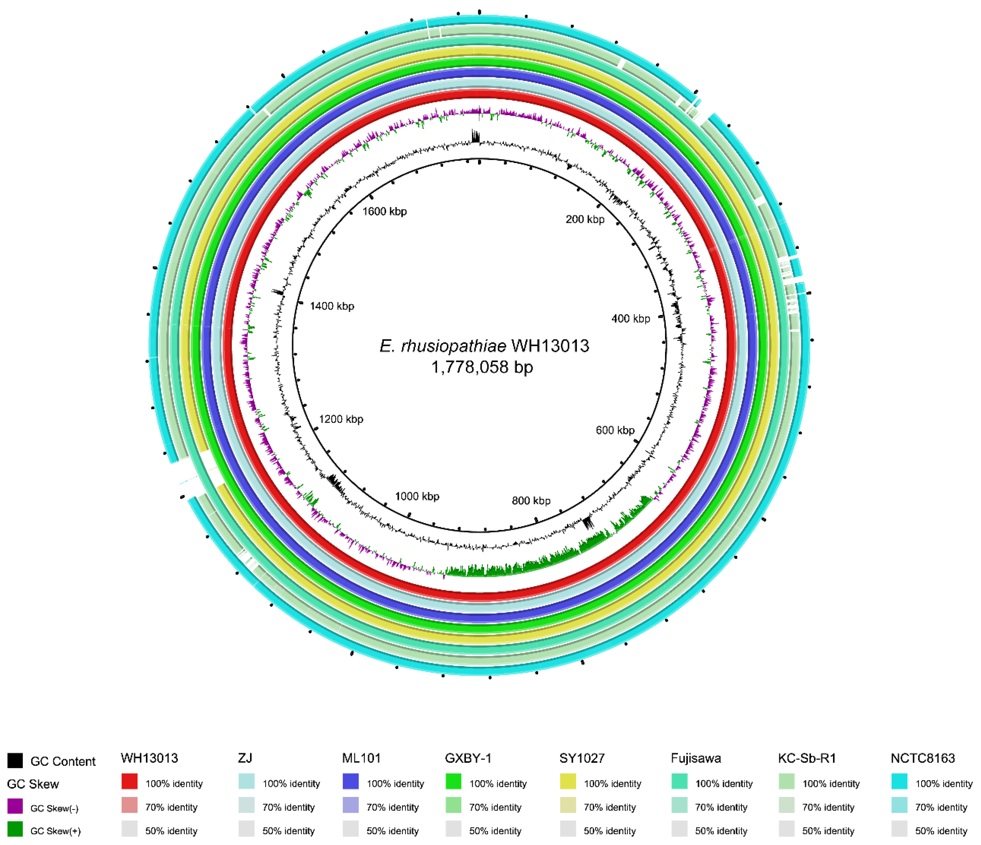 Vetsci 07 00074 g003 Vetsci 07 00074 g003
