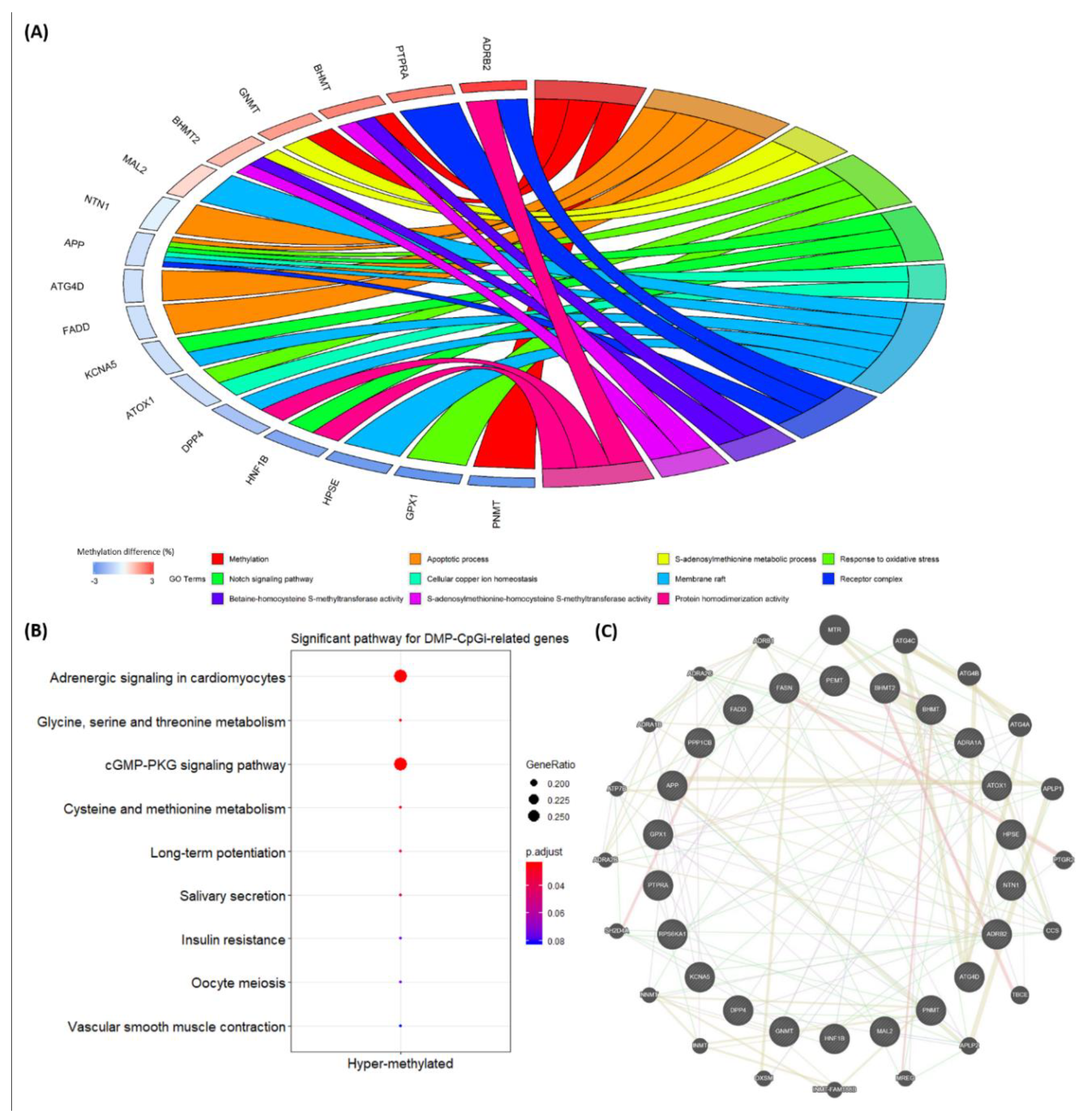 Vetsci 07 00077 g006 Vetsci 07 00077 g006