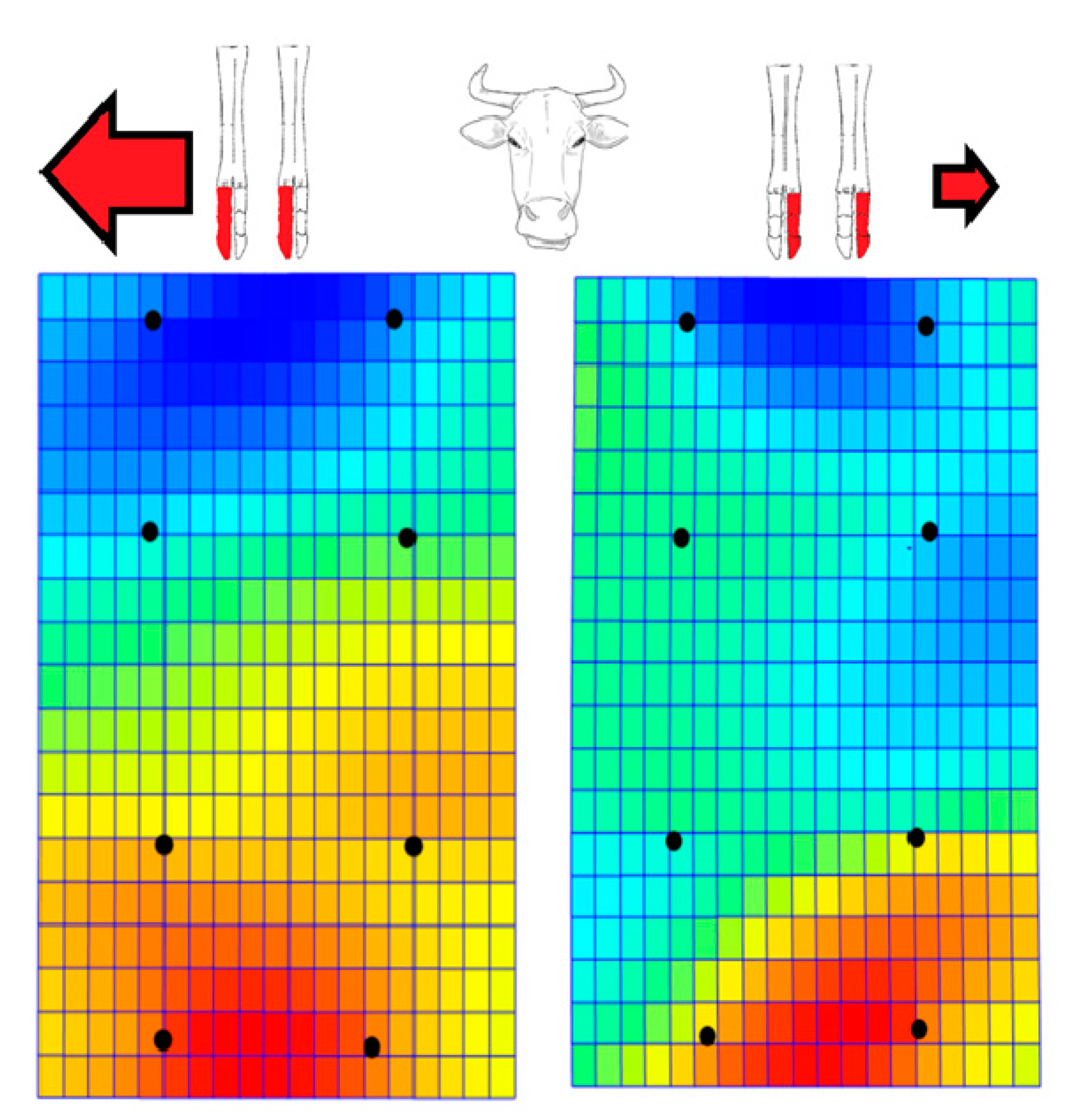 Vetsci 07 00083 g005 Vetsci 07 00083 g005