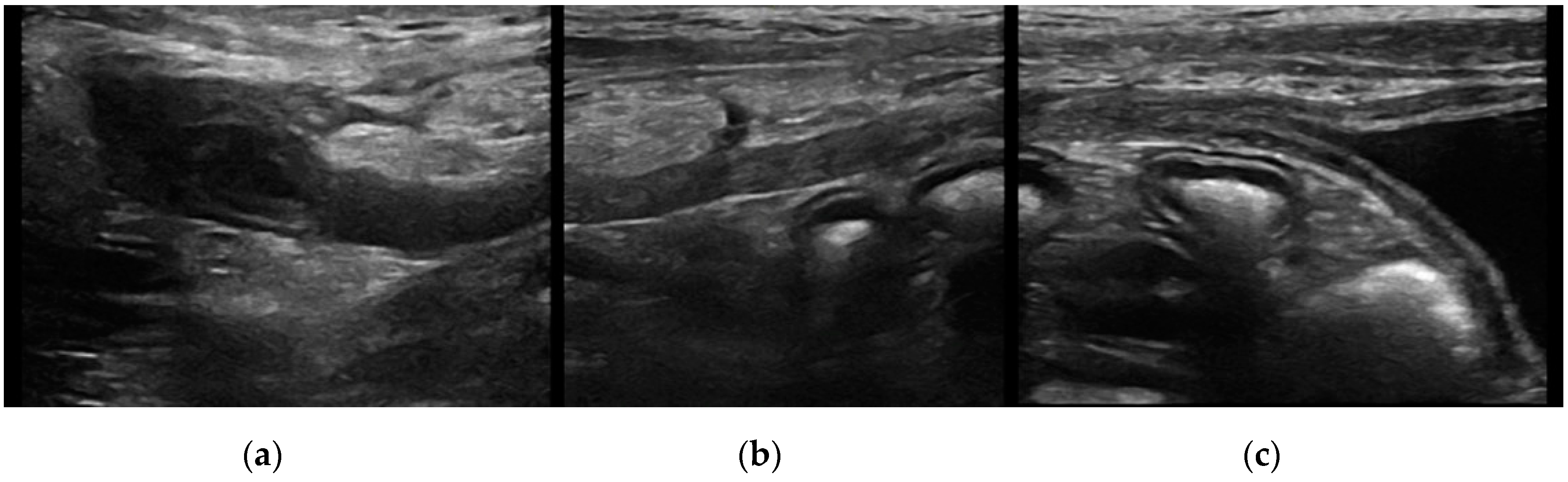 Vetsci 07 00084 g005