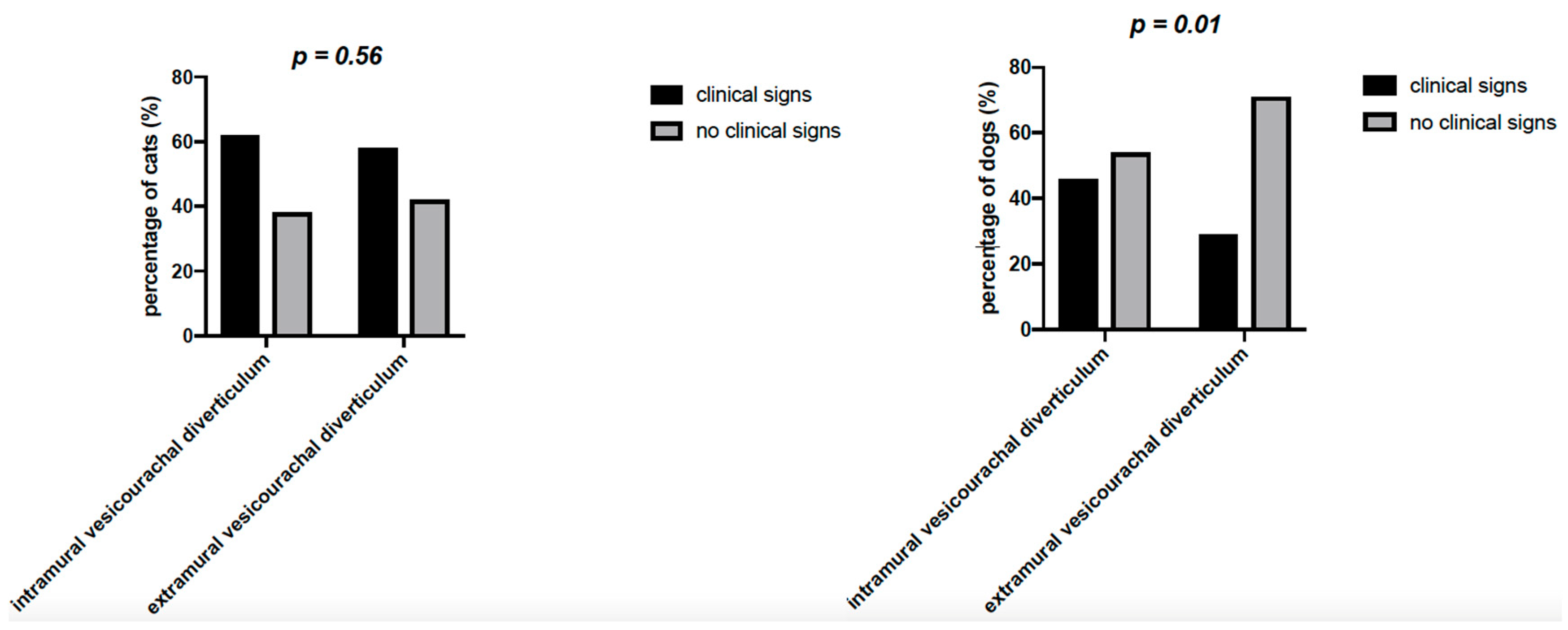 Vetsci 07 00084 g006