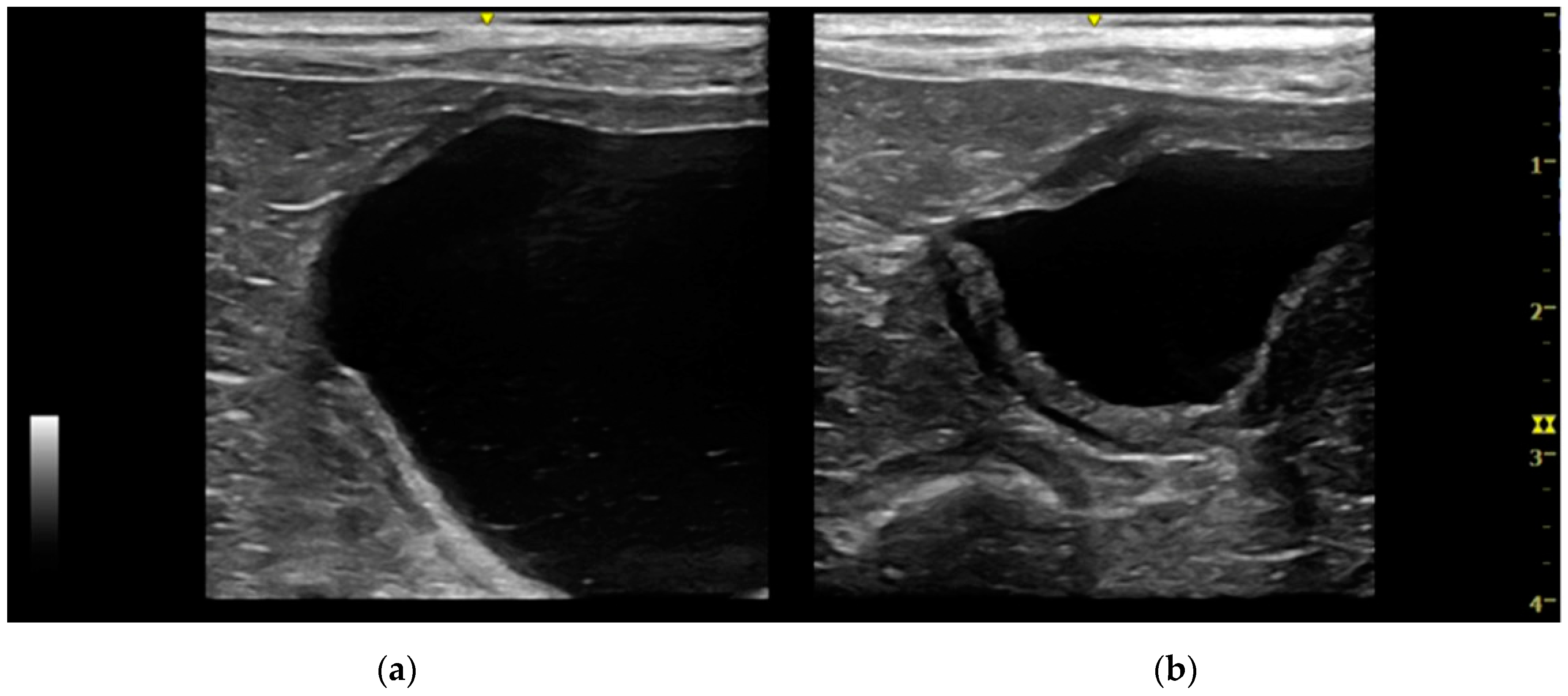 Vetsci 07 00084 g007