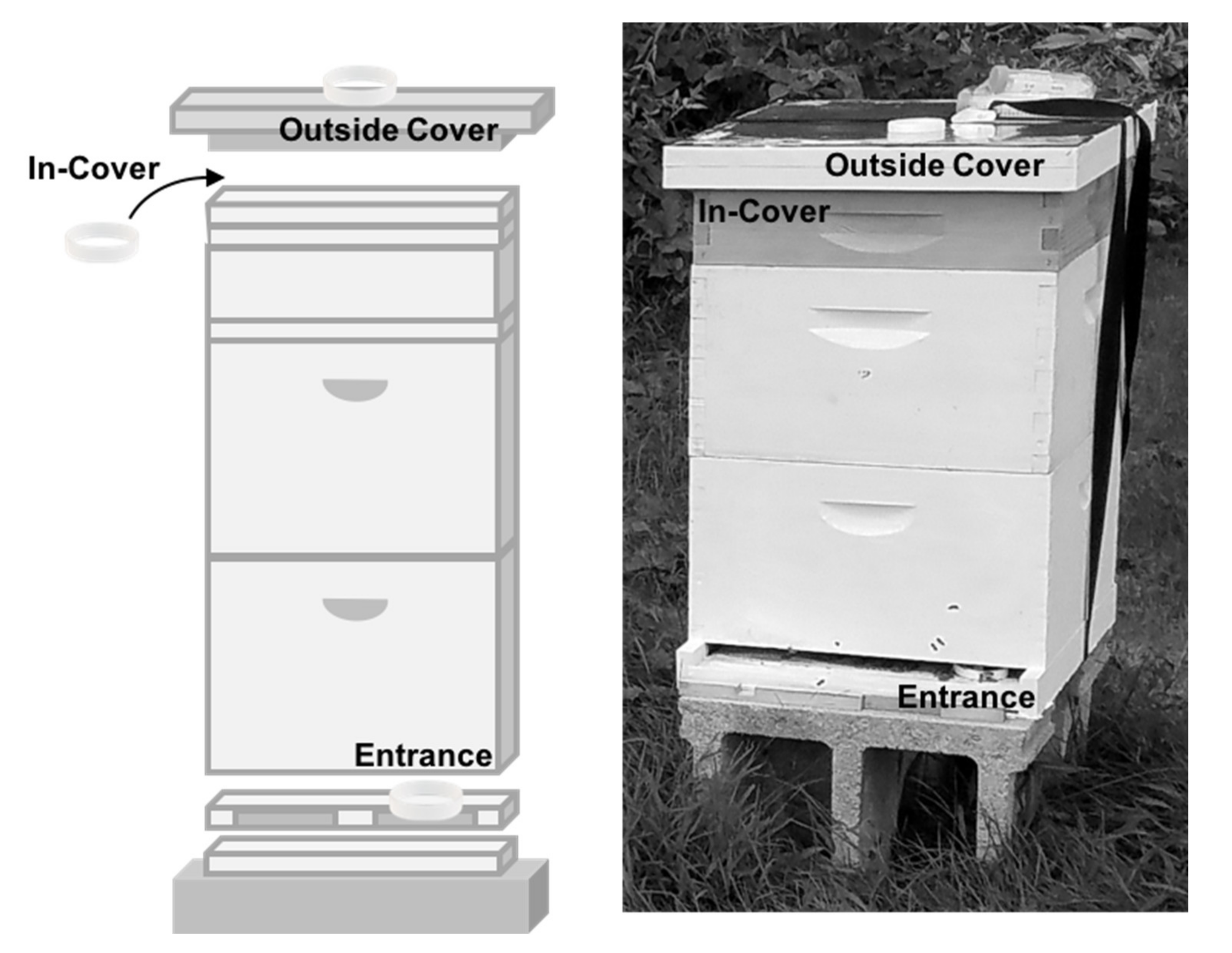 Vetsci 07 00086 g001 Vetsci 07 00086 g001