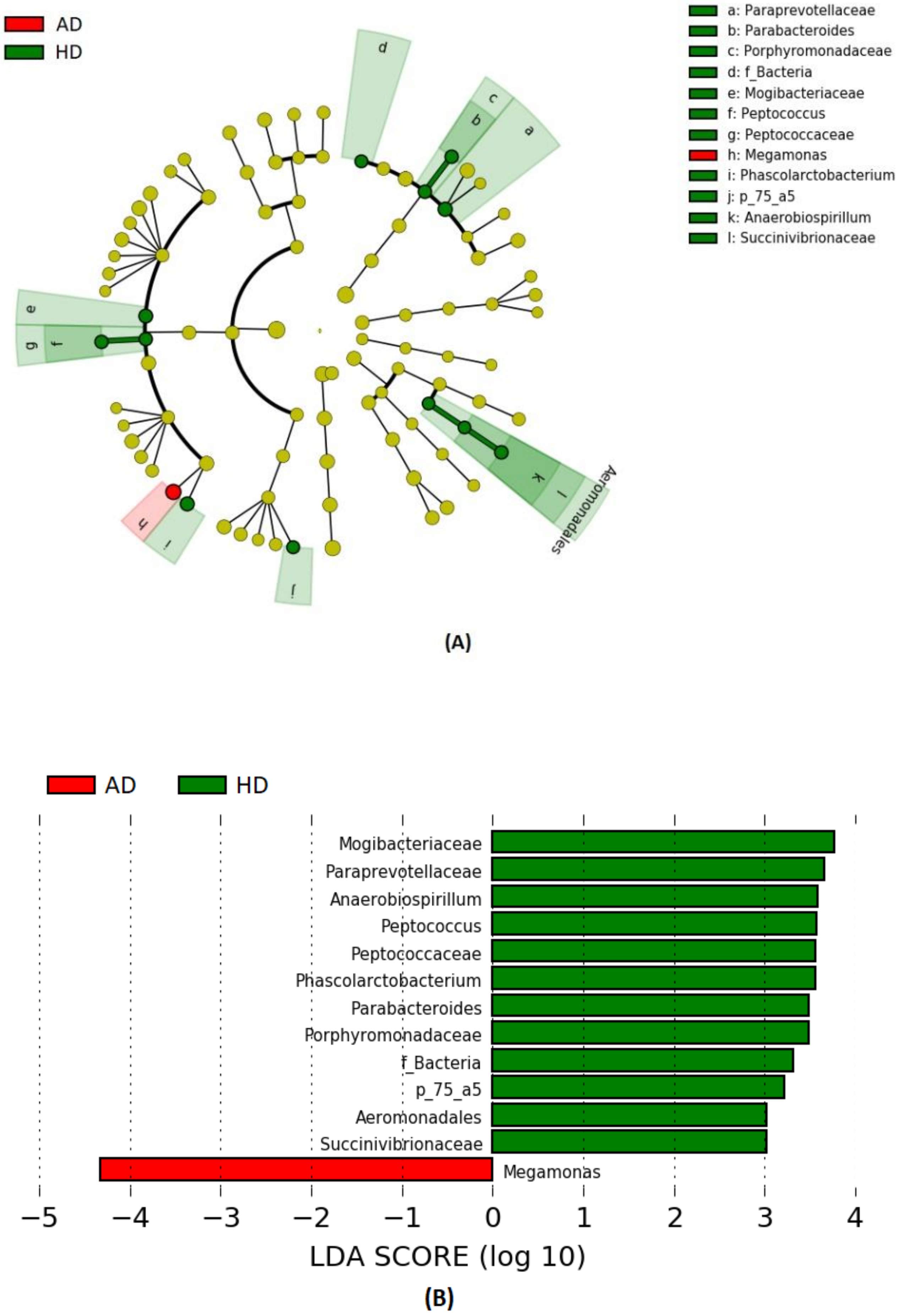 Vetsci 07 00092 g003 Vetsci 07 00092 g003